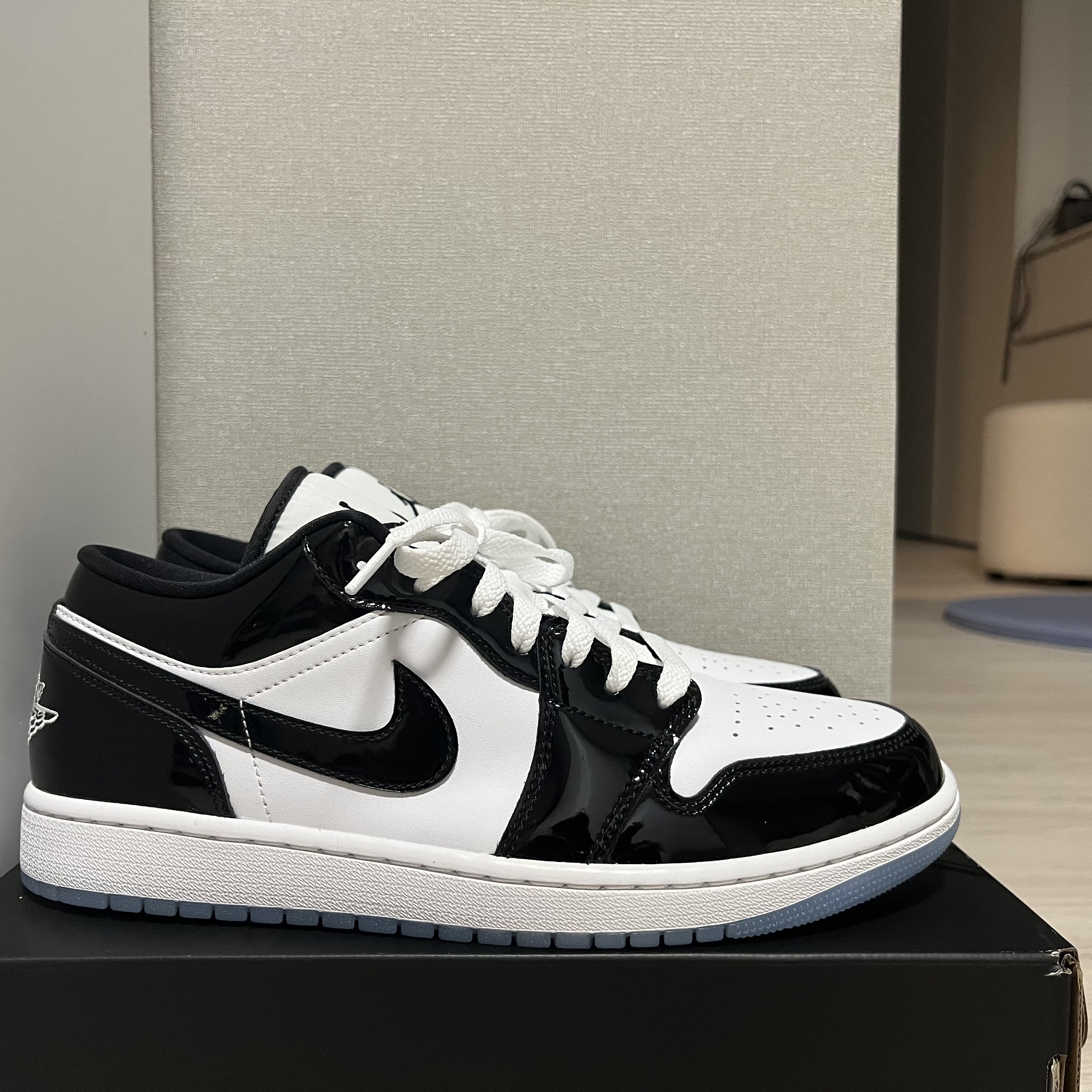 Jordan 1 Low SE Concord 착용 스타일