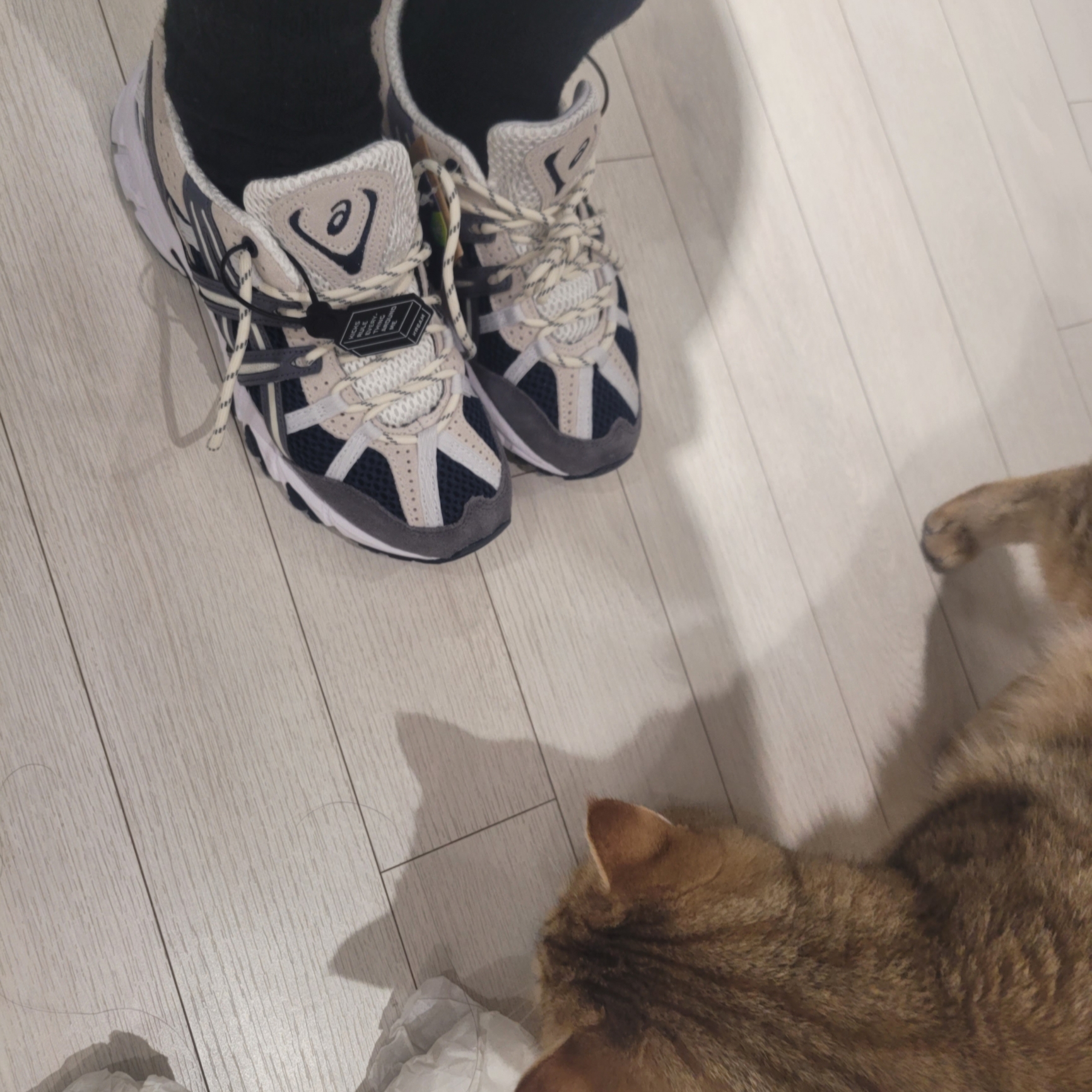 (W) Nike Zoom Vomero 5 Cobblestone and Flat Pewter, Asics Gel-Sonoma 15-50 French Blue 착용 스타일 - 3