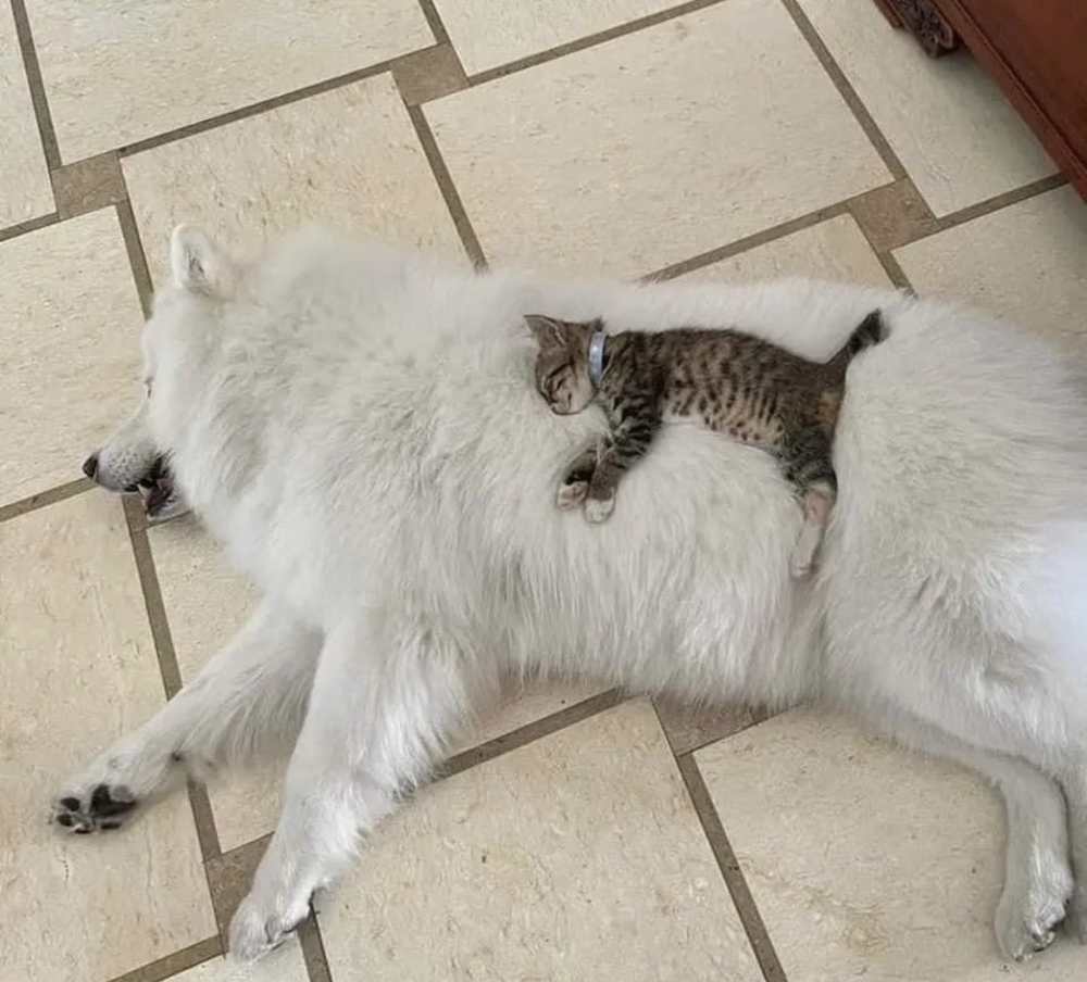 관심 유저 프로필 이미지