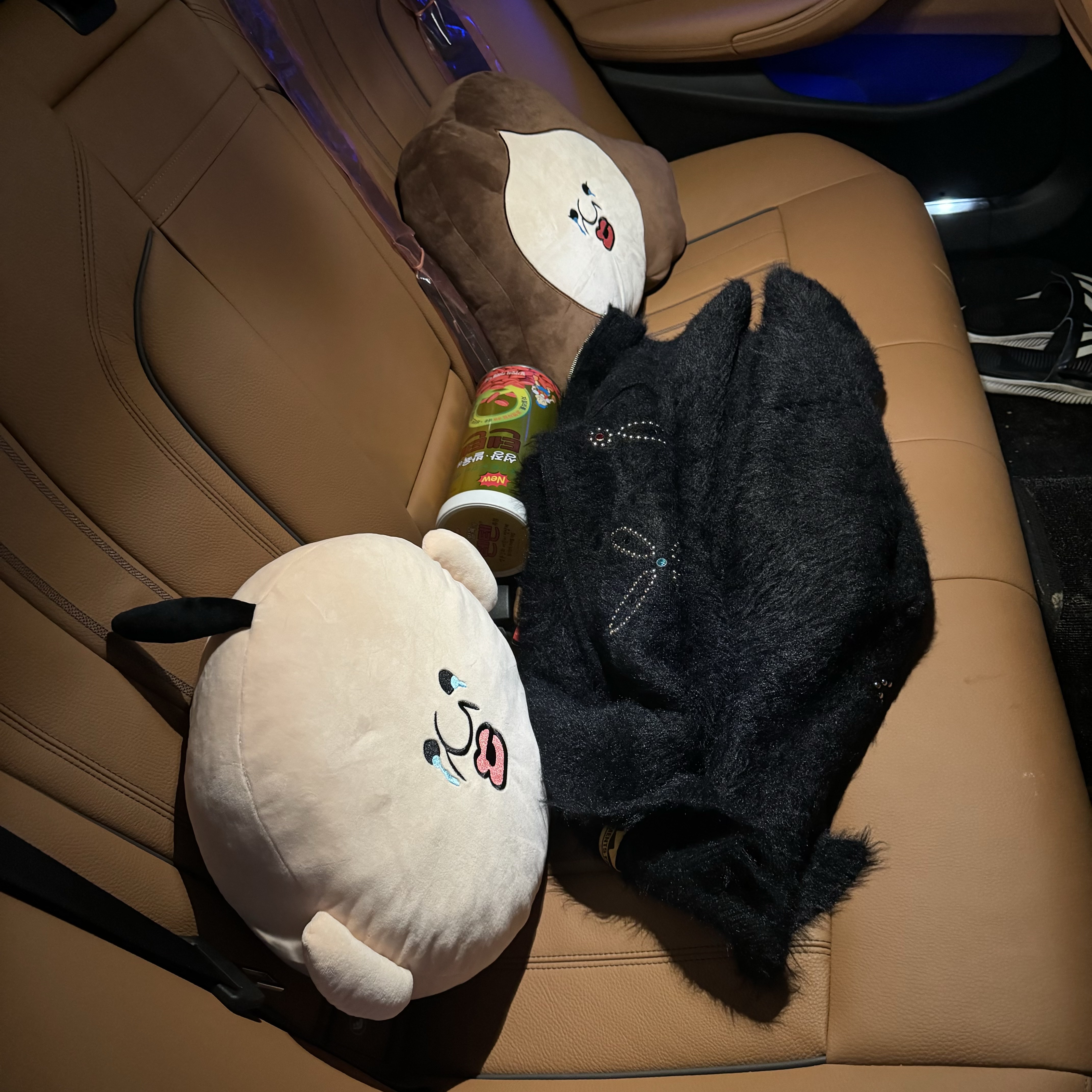 Bbangbbang Cushion 착용 스타일
