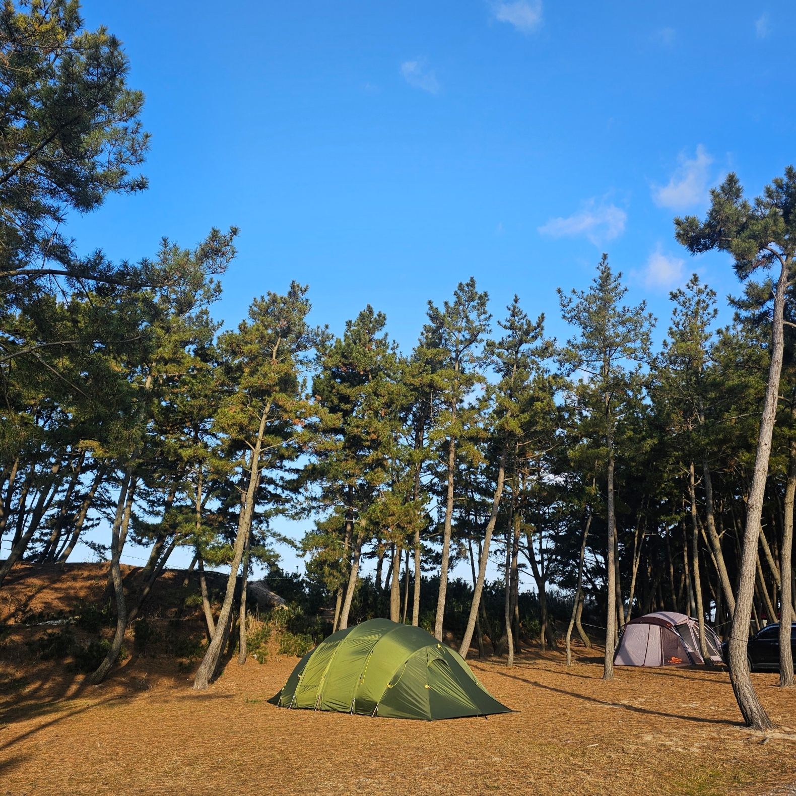 Helsport Valhall Outer Tent, Helsport Valhall Inner Tent 착용 스타일 - 1