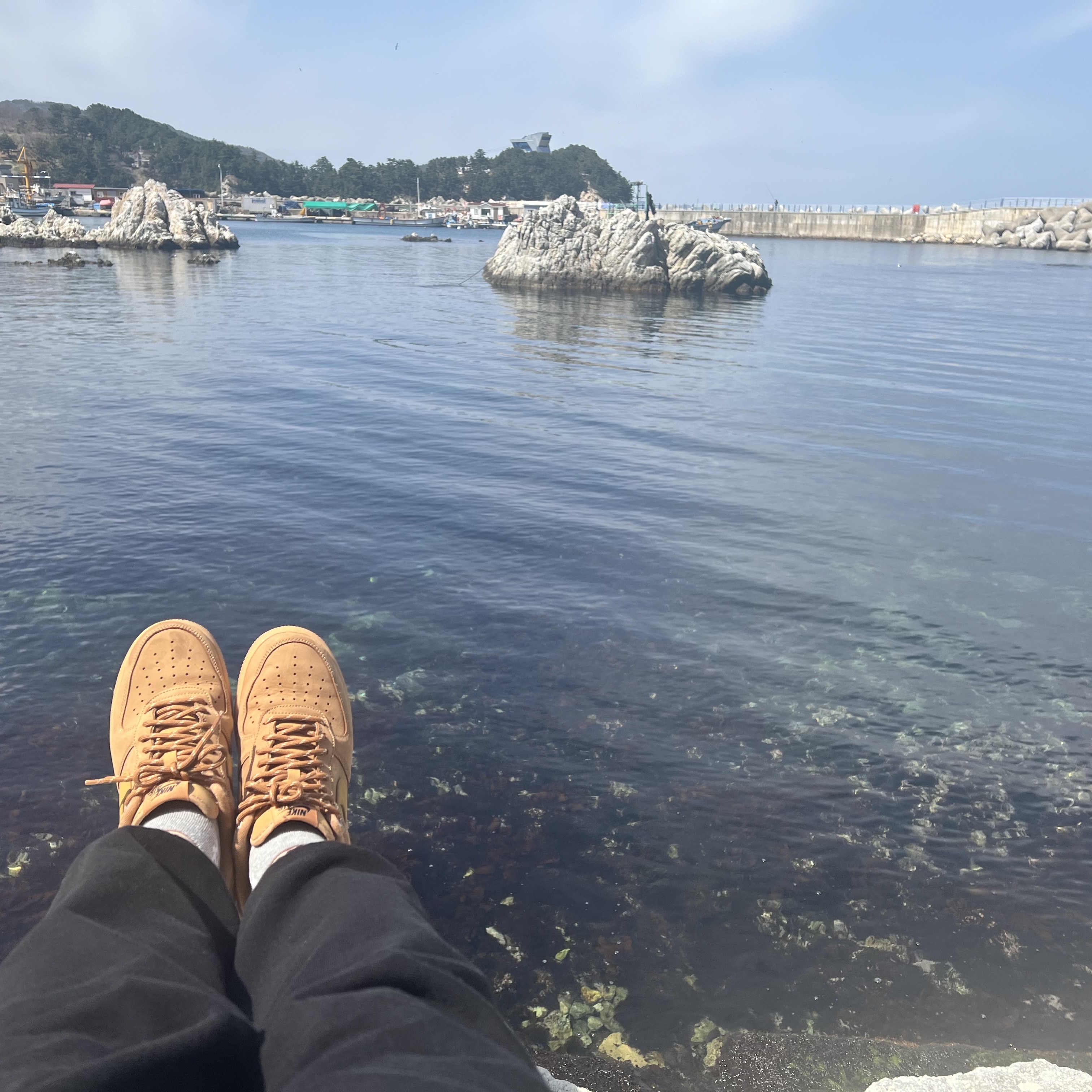 Nike Air Force 1 '07 WB Flax 착용 스타일 - 1