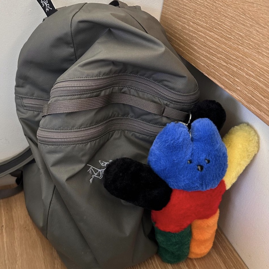 Arc'teryx Heliad 15 Backpack Forage, Lelbobrown Oversize Keyring Tulip Boy 착용 스타일