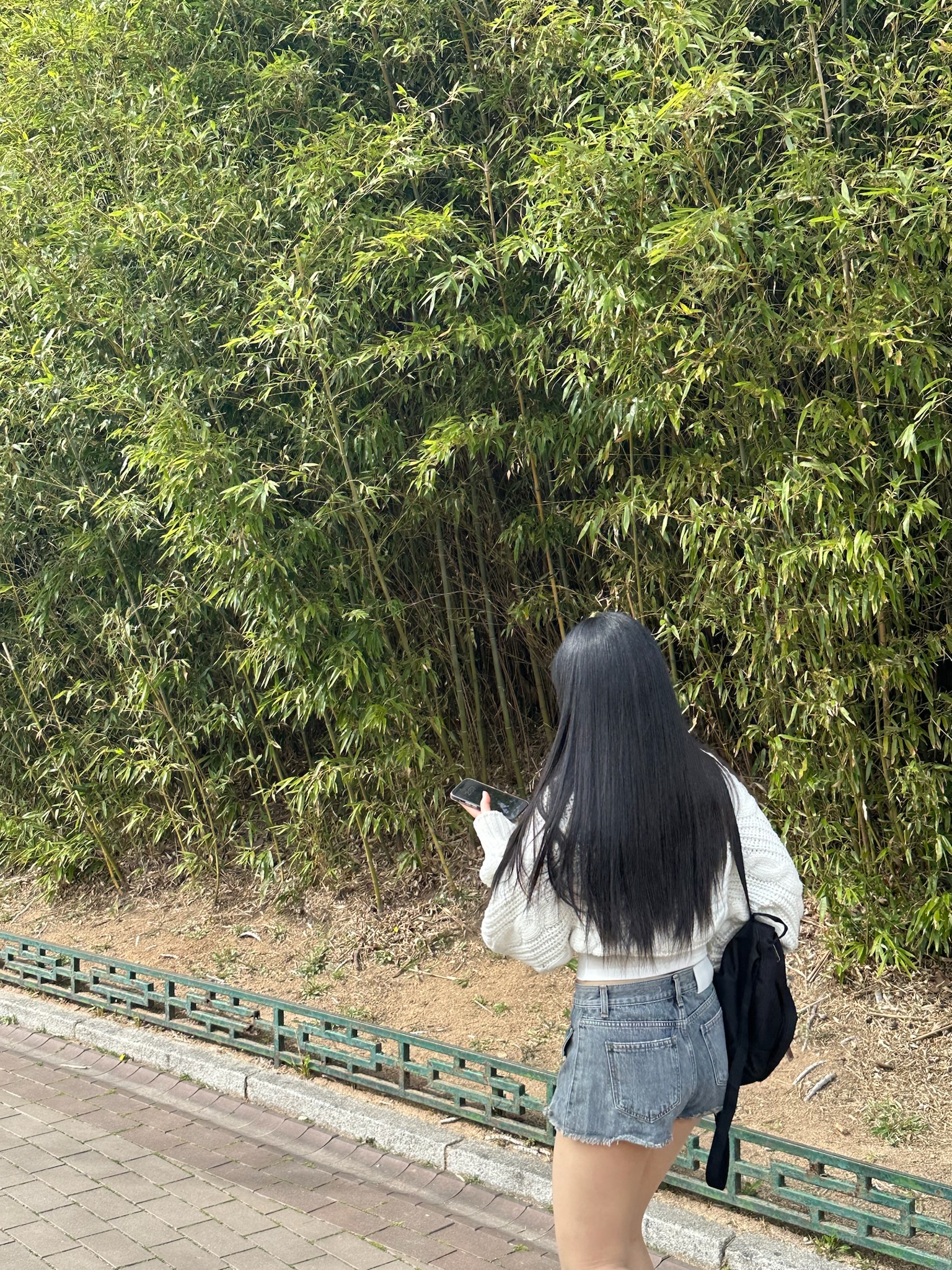Jansport Half Pint Mini Backpack Black 착용 스타일 - 4