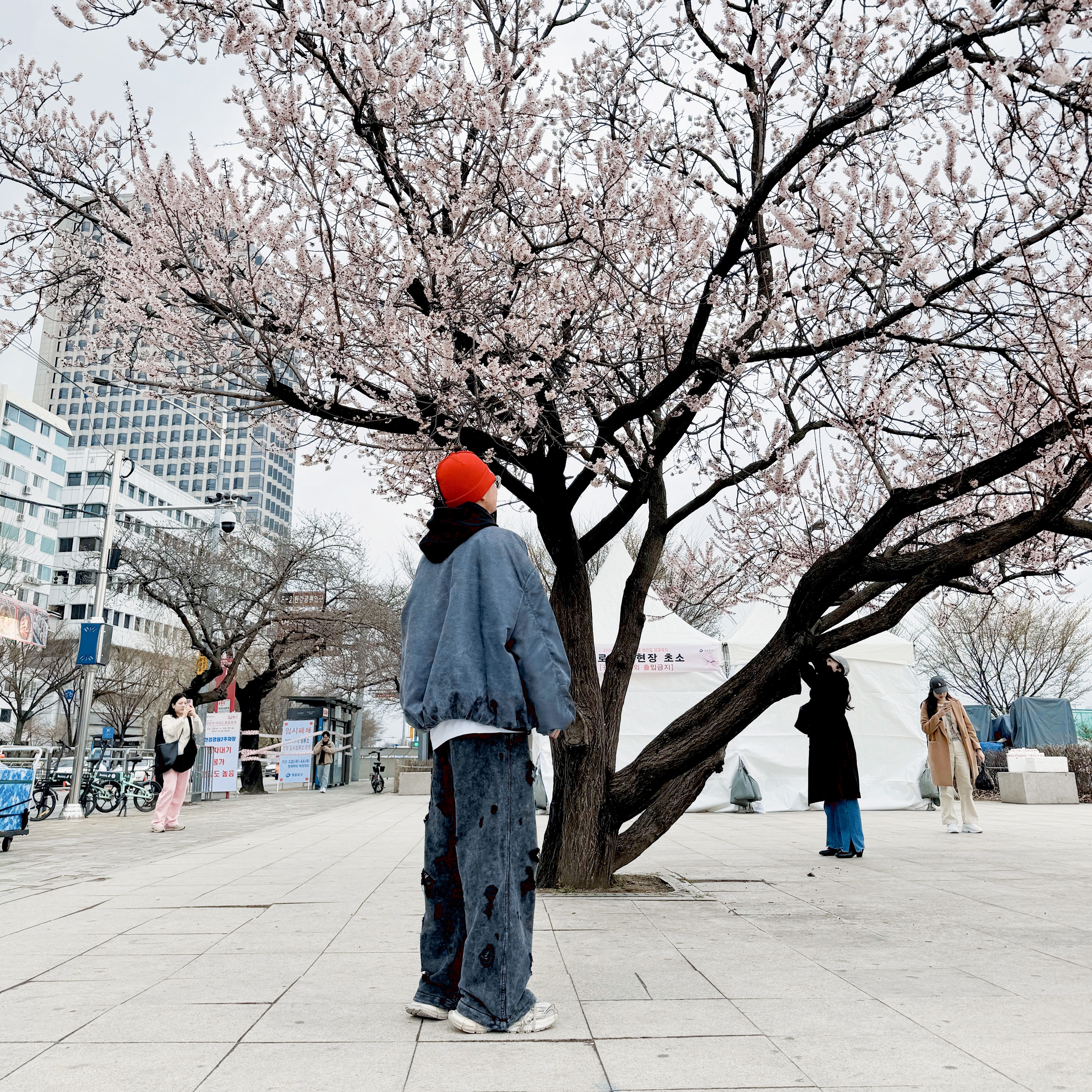 Nonnod x Undermycar Esker Jacket Crown Blue, Balenciaga 3XL Sneakers Beige 착용 스타일