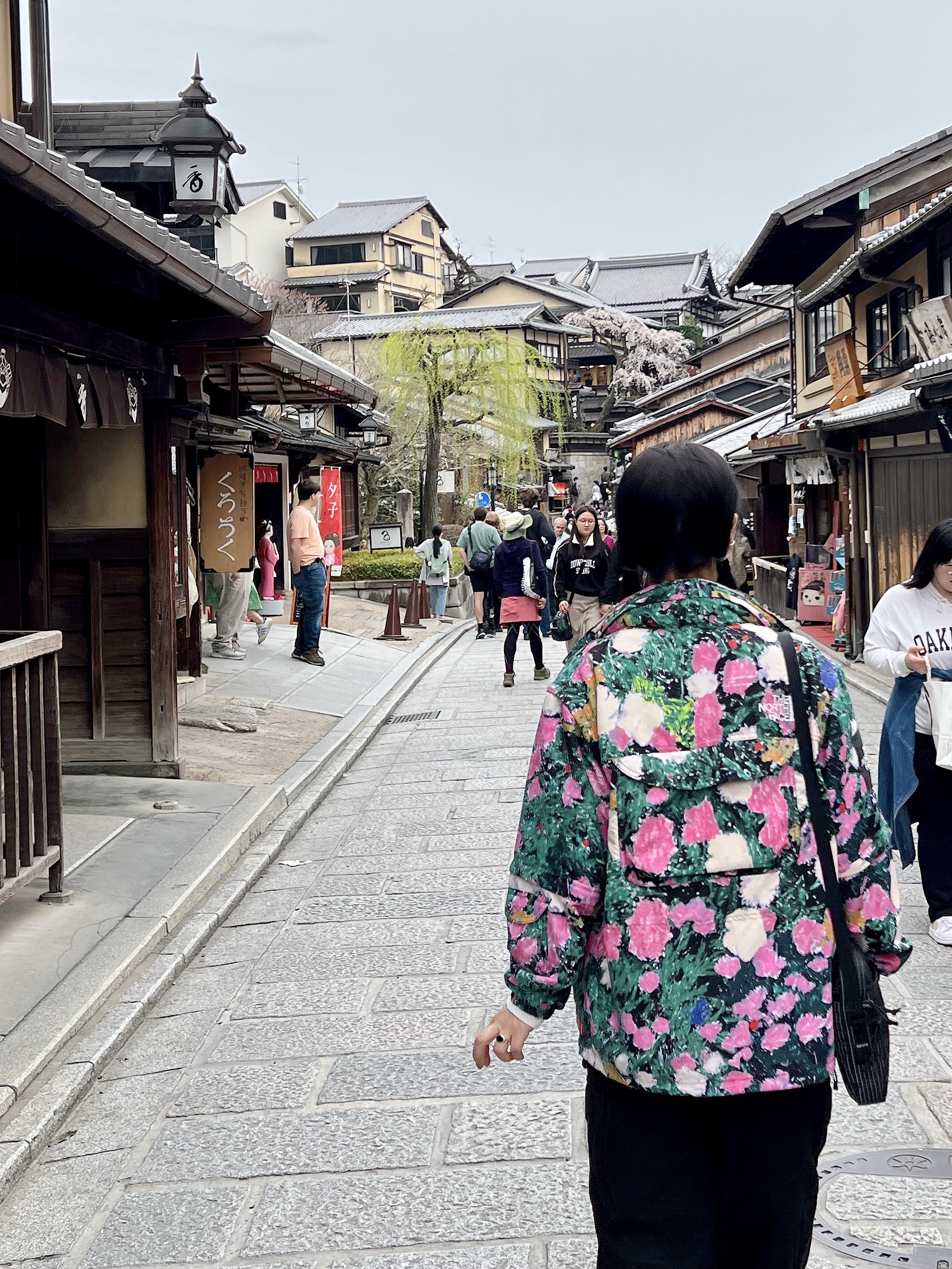 Supreme x The North Face Trekking Convertible Jacket Flowers - 22SS, New Balance 1906R Black Silver Metallic 착용 스타일 - 3