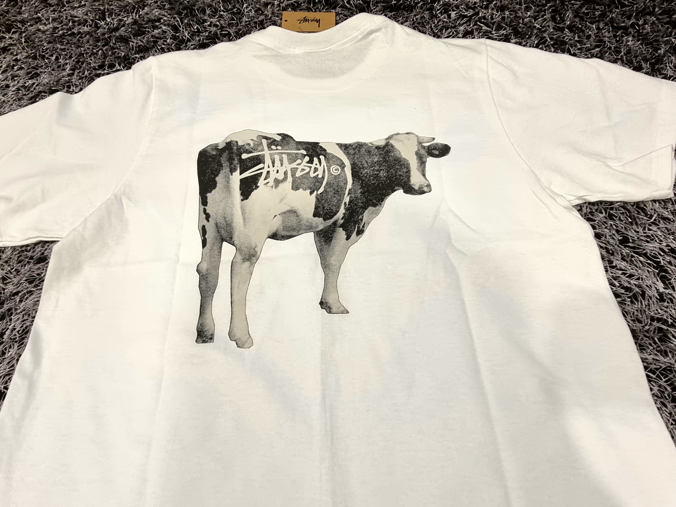 Stussy Grassfed T-Shirt White 착용 스타일 - 1