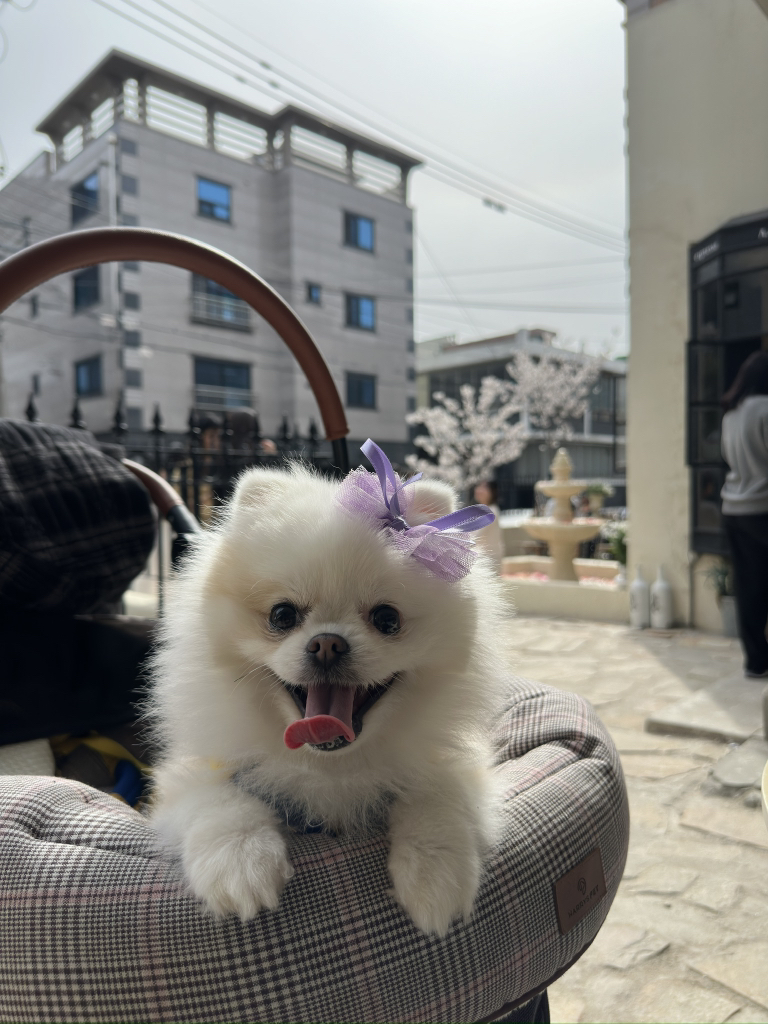 KREAM 프로필 이미지