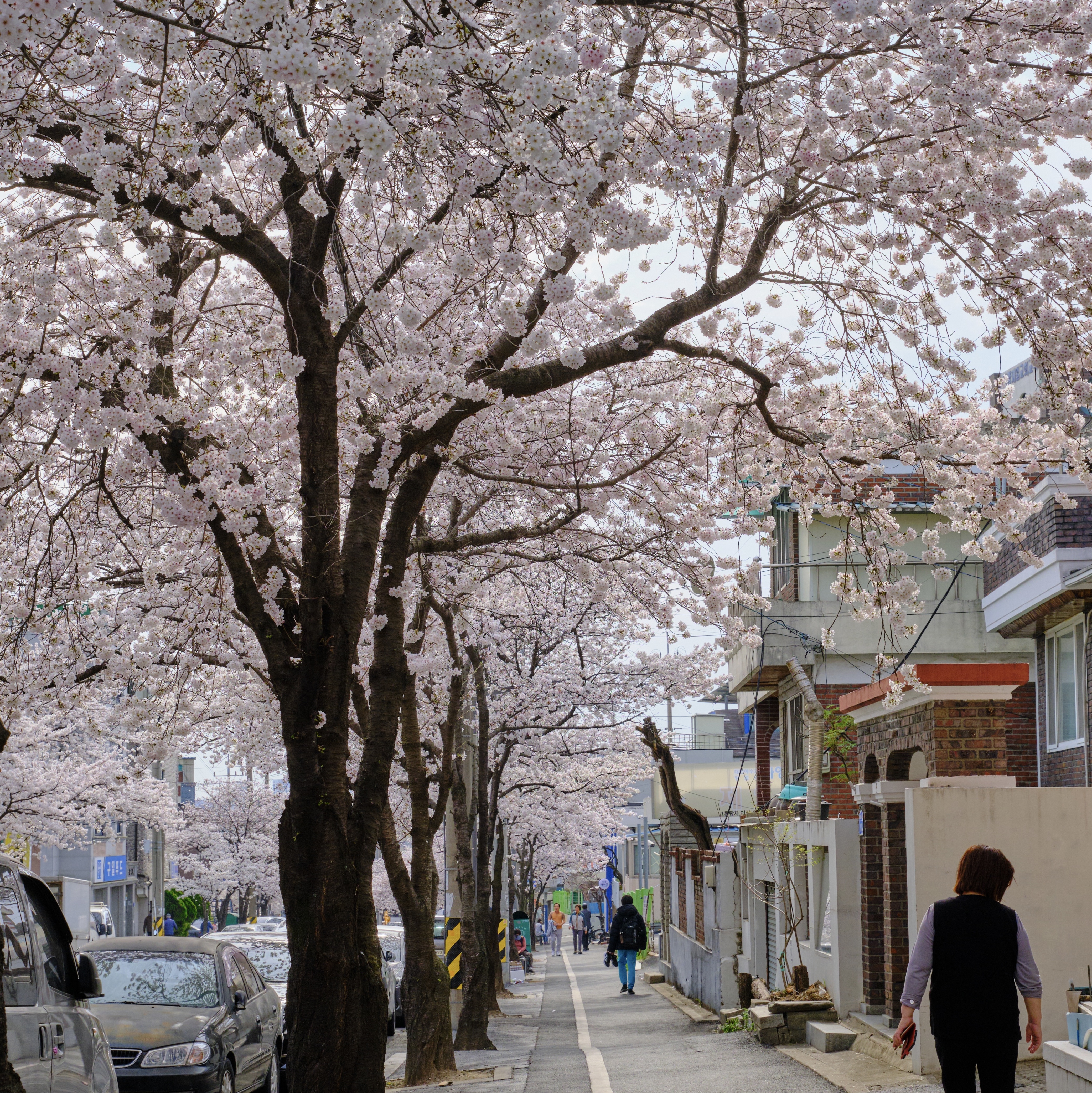 안재범님의 스타일 - 8