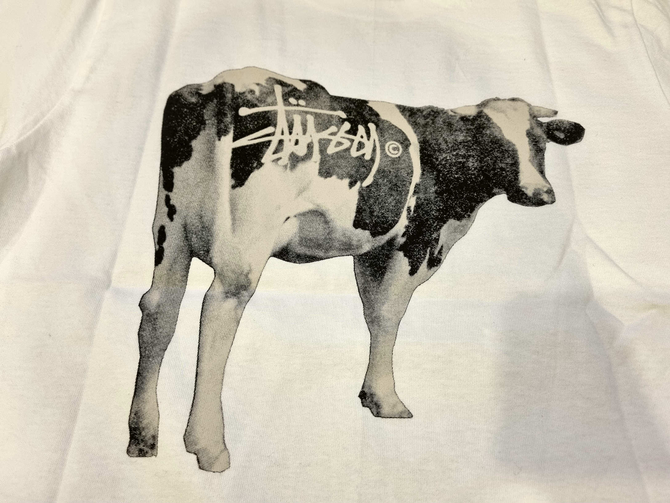 Stussy Grassfed T-Shirt White 착용 스타일 - 3