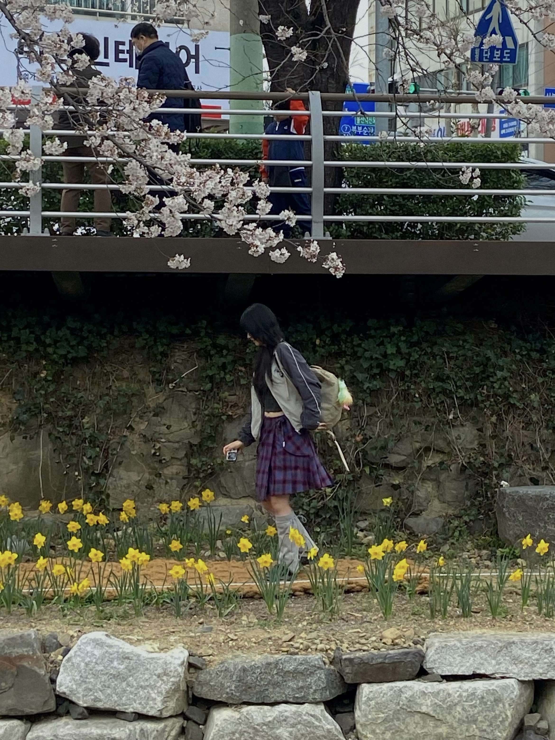 Safarispot Women Cottage Flannel Wrap Skirt Purple, Arc'teryx Heliad 10 Backpack Wicker 착용 스타일 - 2