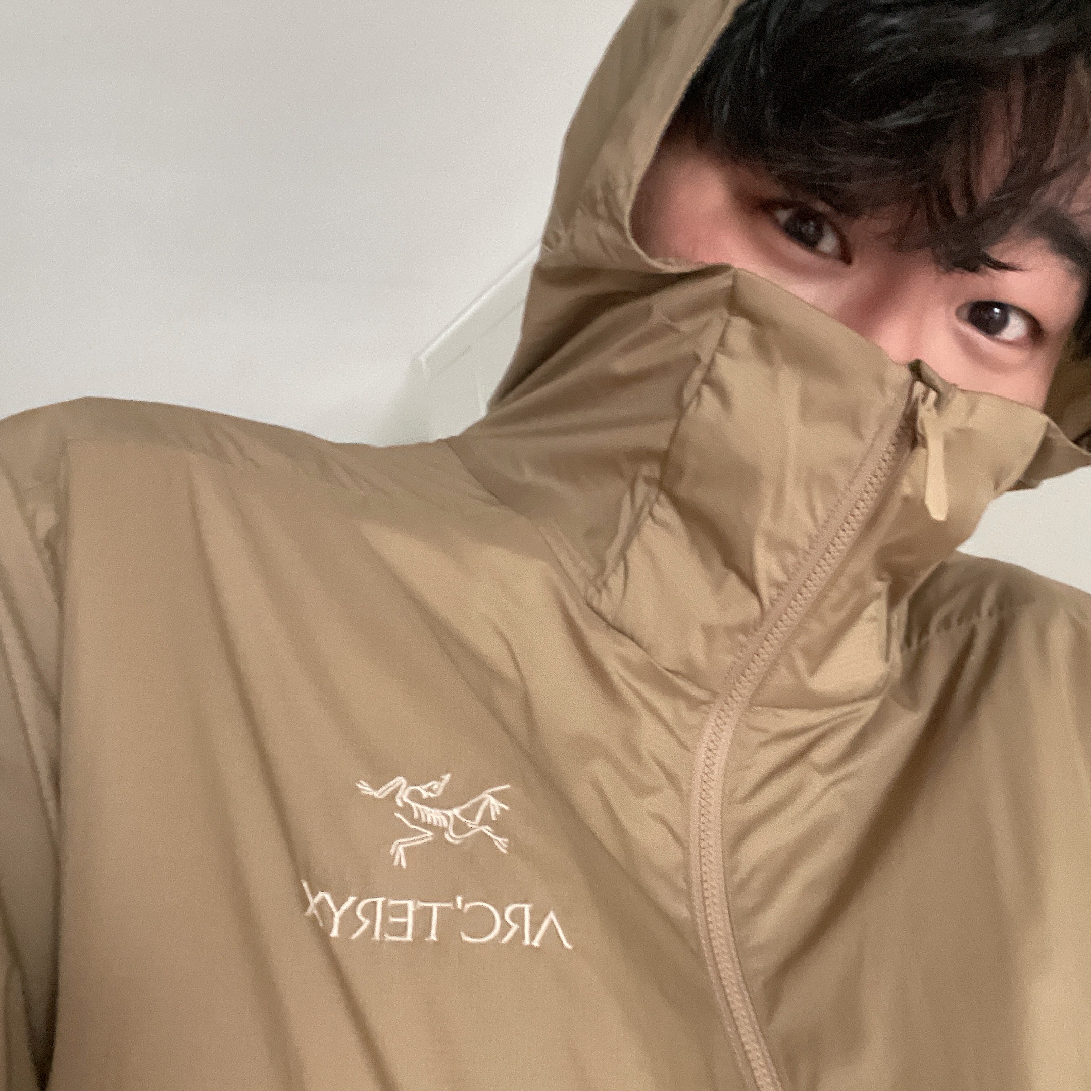 Arc'teryx Atom SL Hoody Canvas, Apple AirPods Max Lightning Silver (Korean Ver.) 착용 스타일 - 1