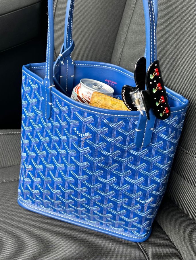 Goyard Anjou Mini Bag Powder Pink, Goyard Anjou Mini Bag Green 착용 스타일 - 4