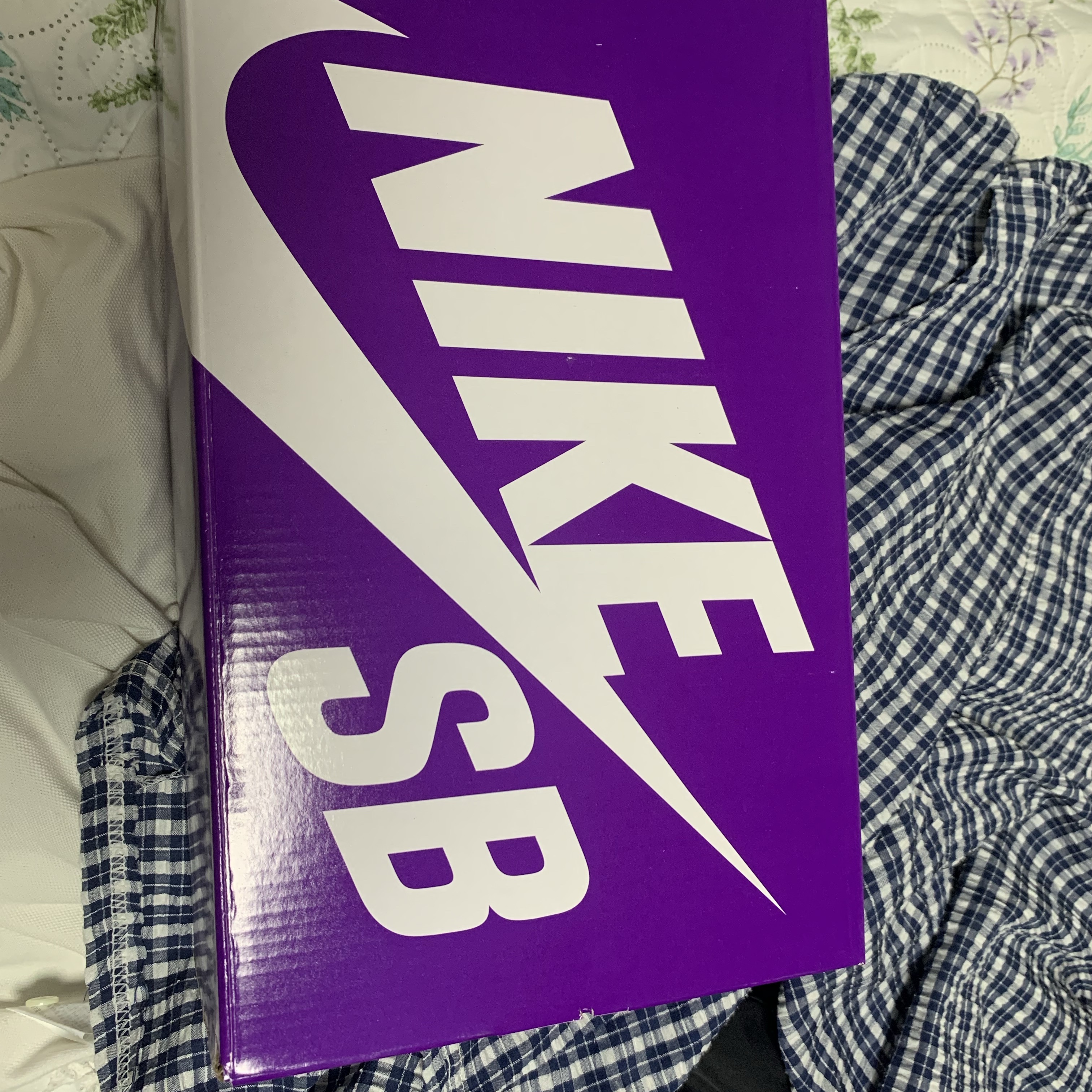 Nike SB Dunk Low Pro Phantom and Hyper Royal 착용 스타일 - 1