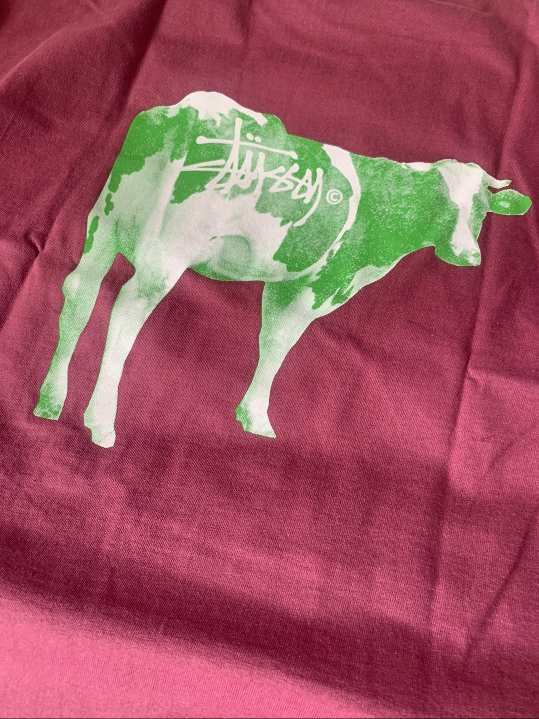Stussy Grassfed T-Shirt Berry 착용 스타일