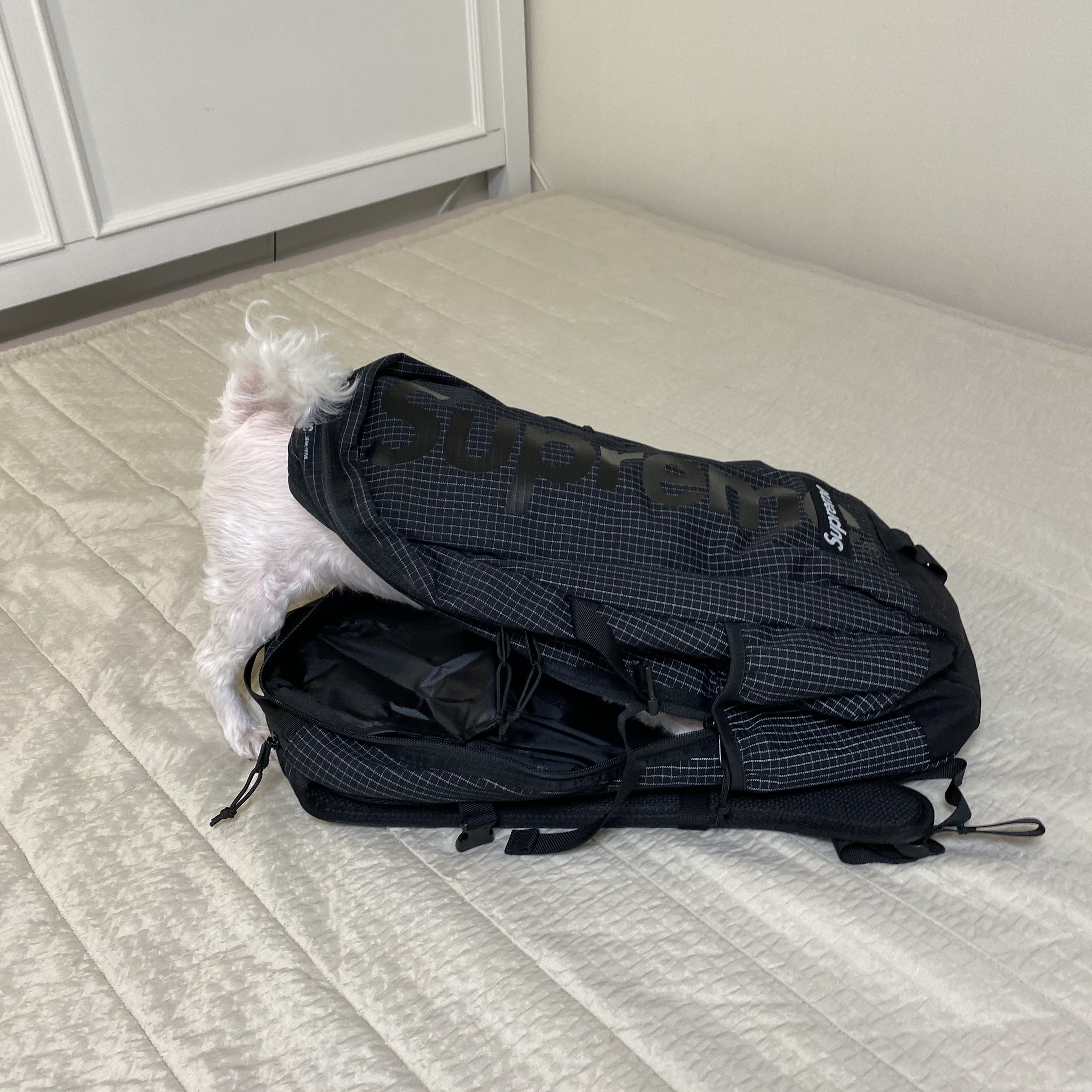 Supreme Backpack Black - 24SS 착용 스타일