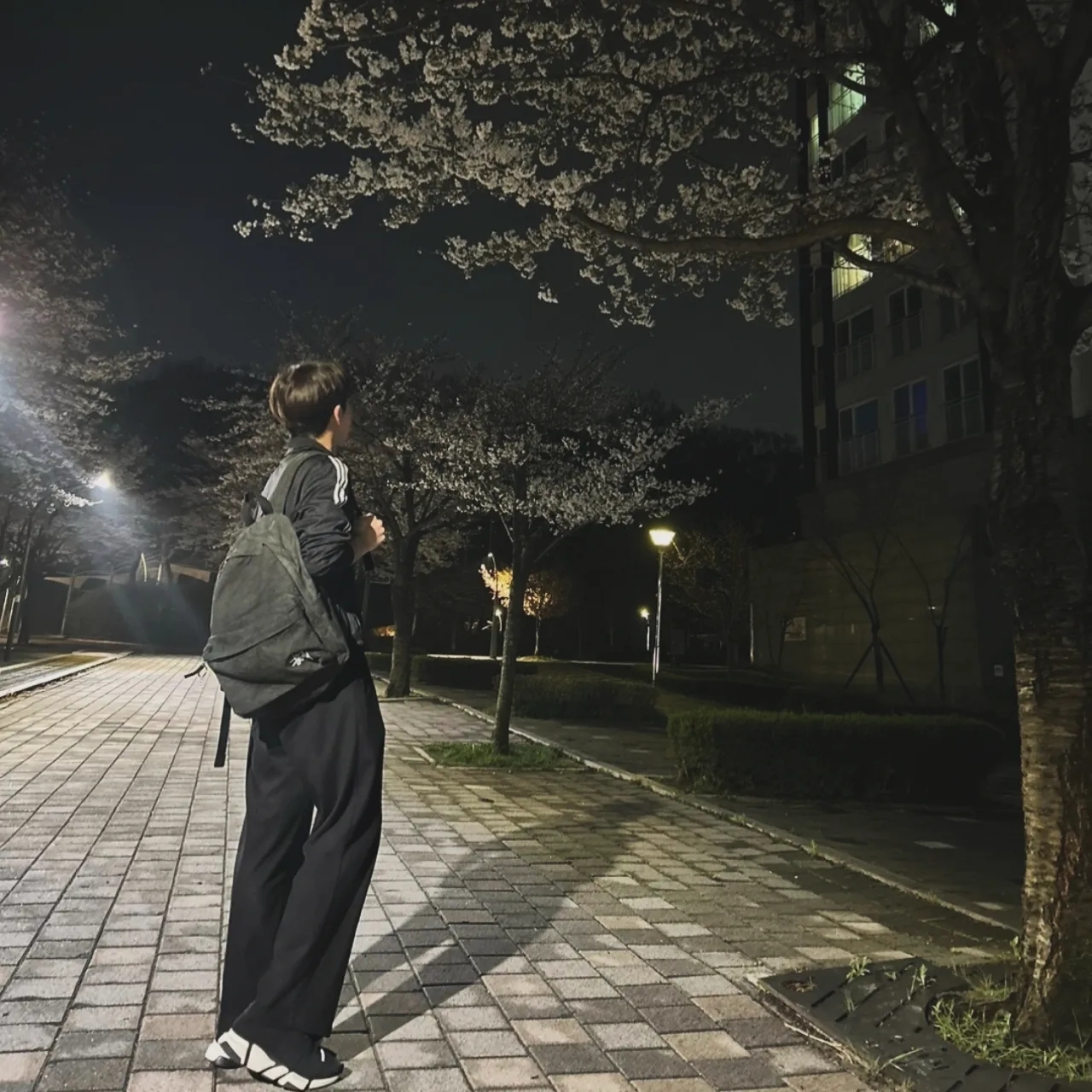 Stussy Canvas Backpack Washed Black, Adidas Adicolor Classic Beckenbauer Track Top Black - KR Sizing 착용 스타일 - 3