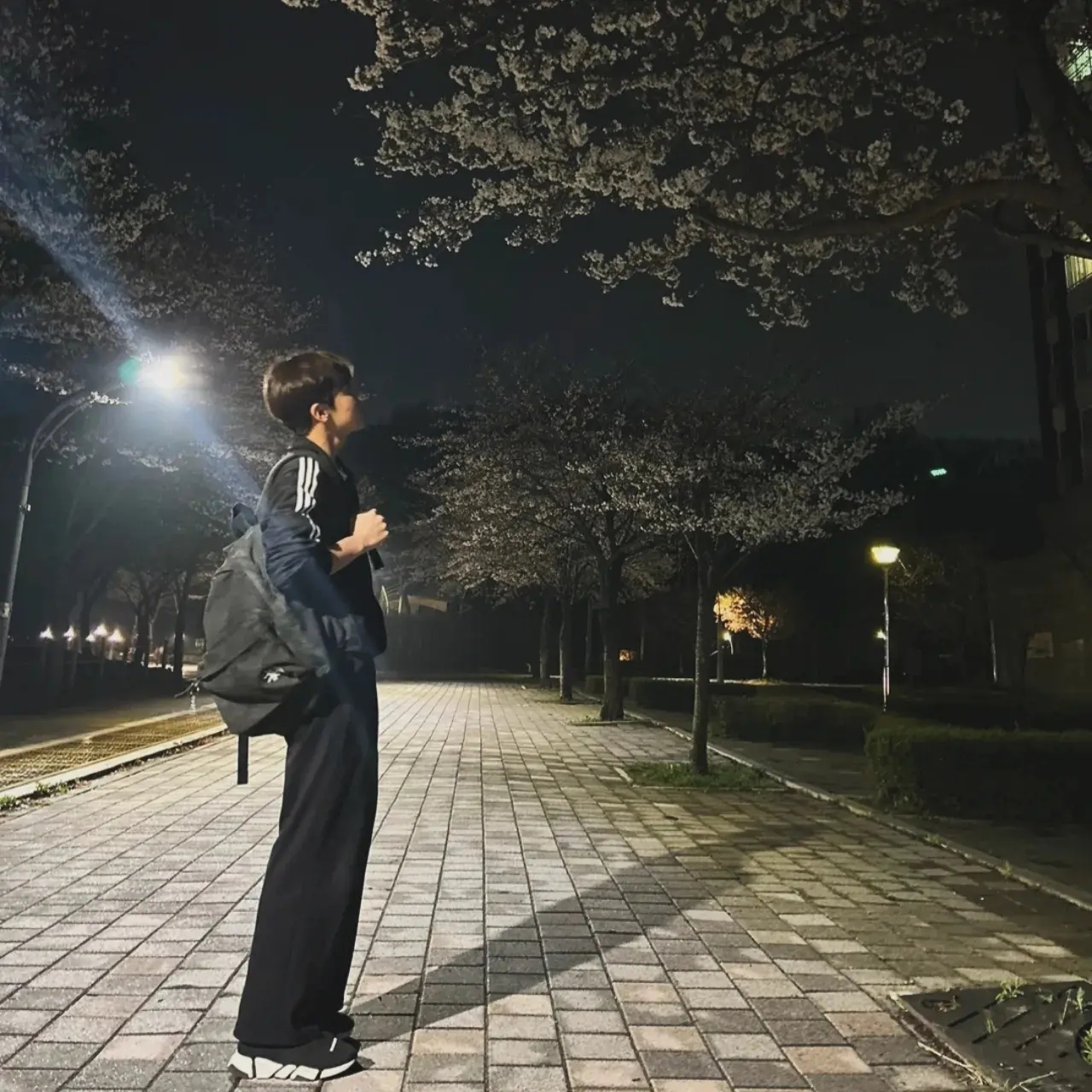 Stussy Canvas Backpack Washed Black, Adidas Adicolor Classic Beckenbauer Track Top Black - KR Sizing 착용 스타일 - 2
