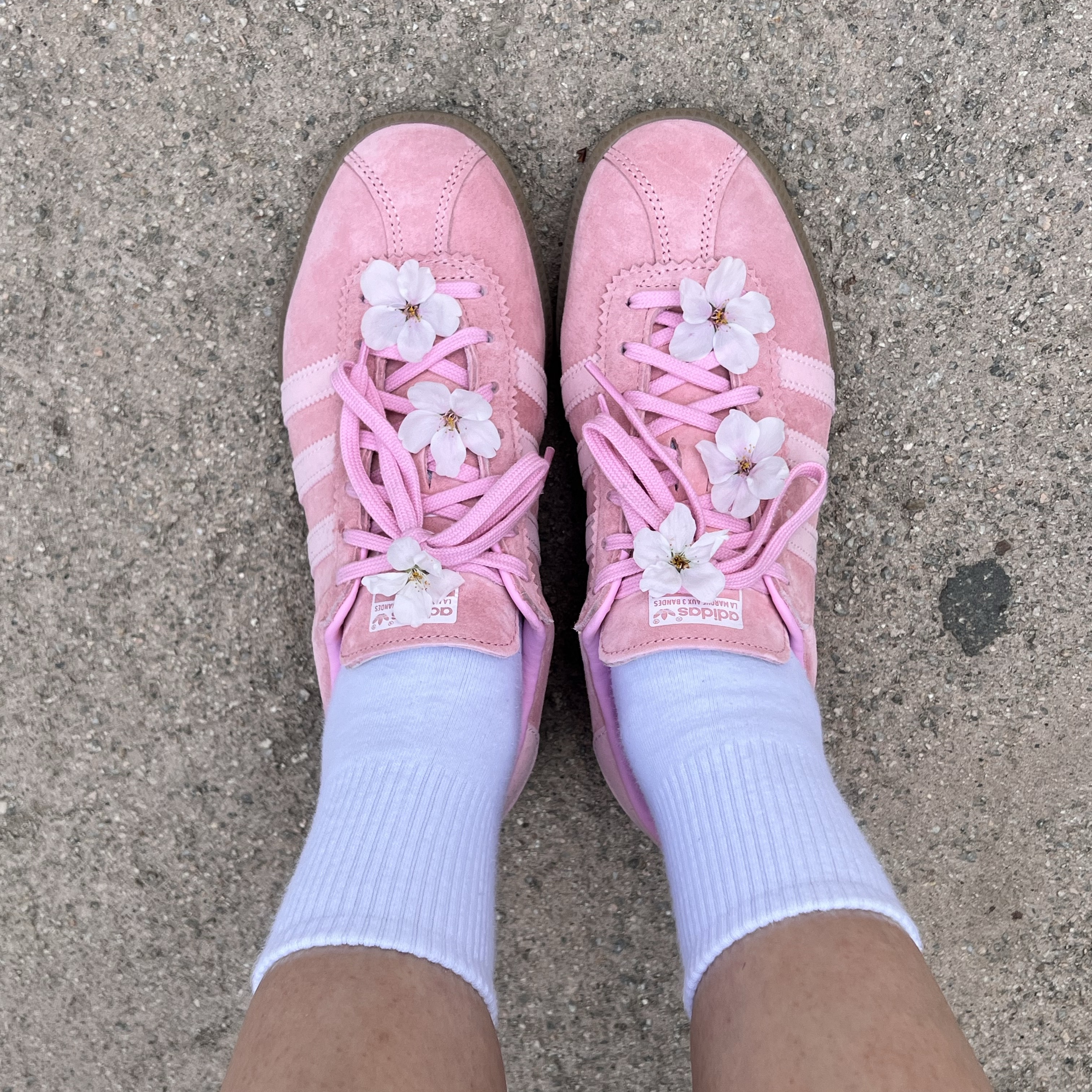 Adidas Bermuda Glow Pink 착용 스타일