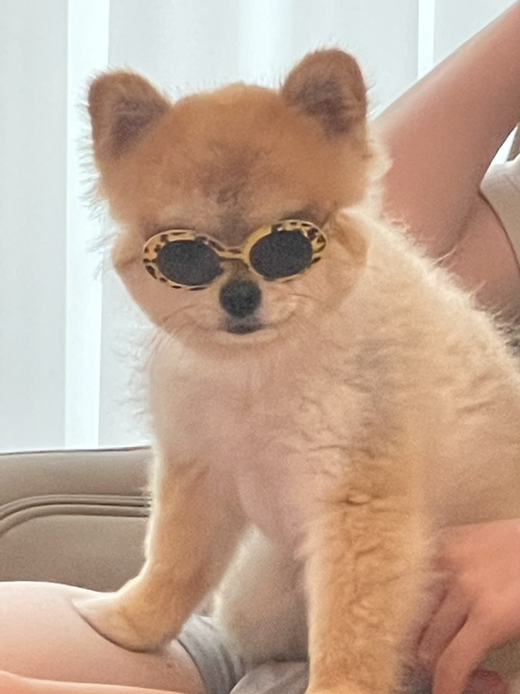KREAM 프로필 이미지