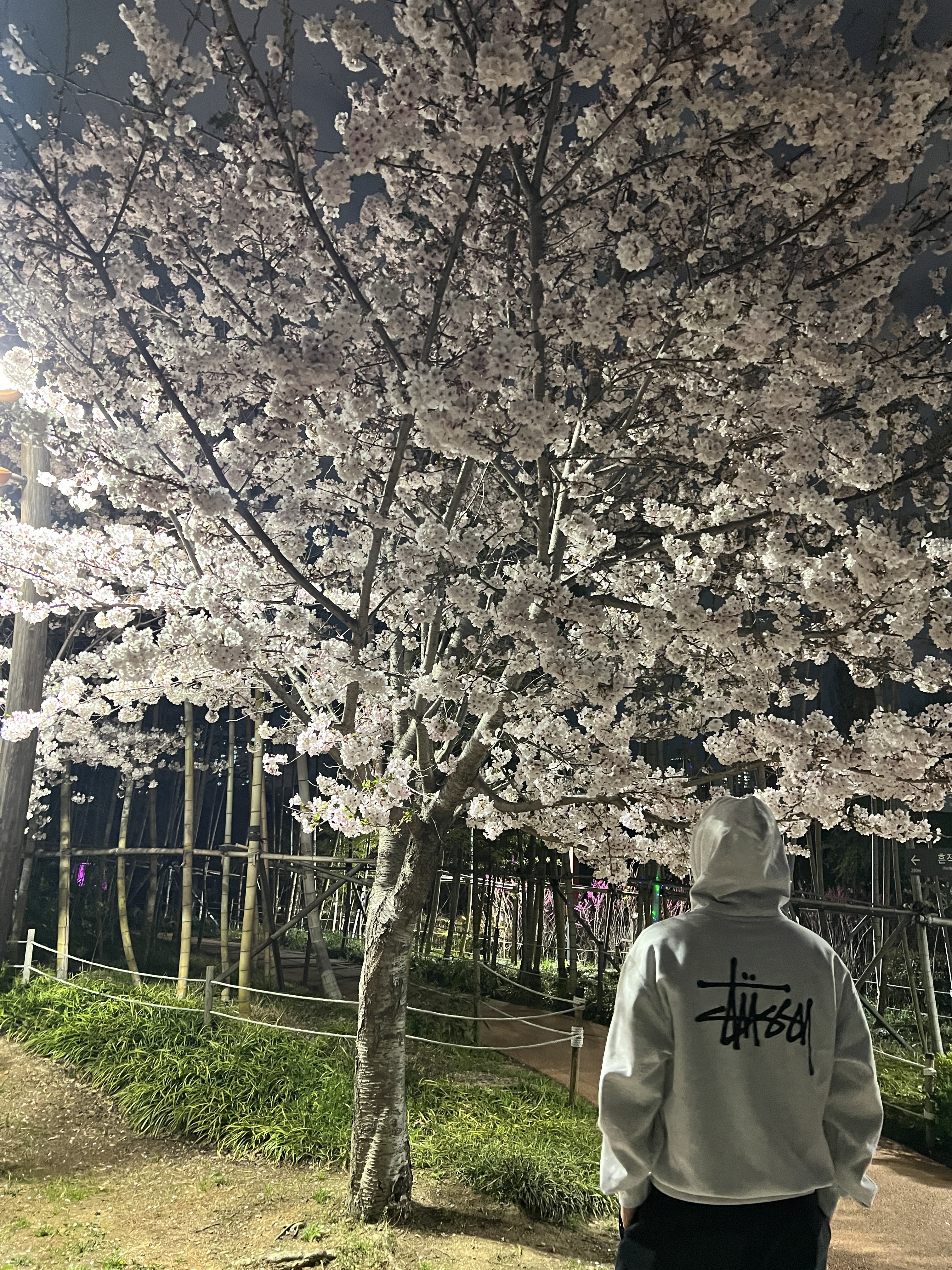 Stussy Basic Stussy Zip Hoodie Ash Heather 2023, Nike x Supreme Air Force 1 Low White 착용 스타일 - 1