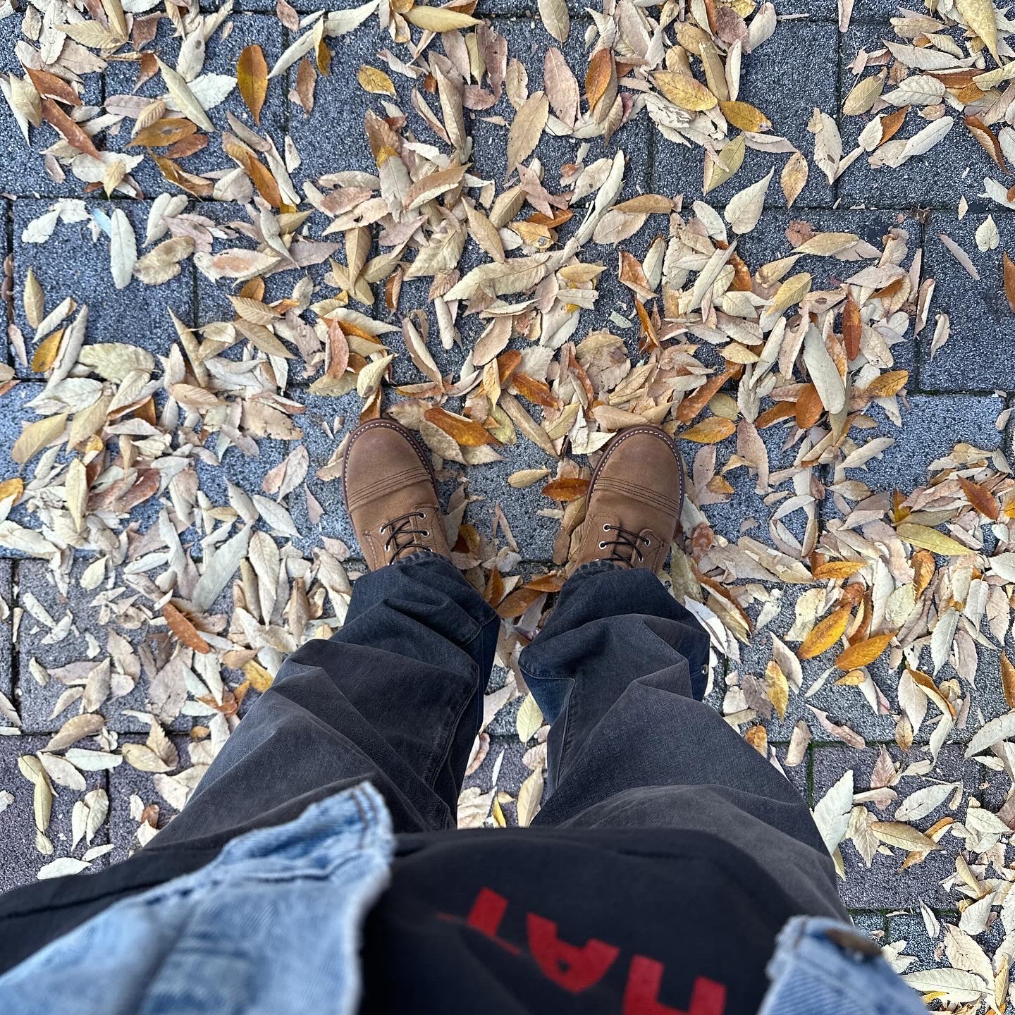 Kapital 14 oz. Denim 5P Monkey Cisco Gemstone Pants Black, Red Wing Iron Ranger 8083 Hawthrone Muleskinner - D 착용 스타일 - 2