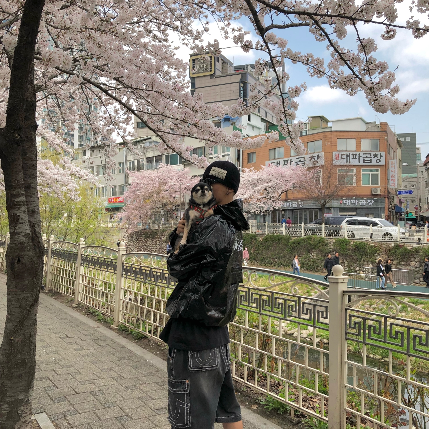 True Religion x Fetch Denim Separate Cargo Pants Black, Stussy Beach Shell Wrinkled Nylon Jacket Black 착용 스타일