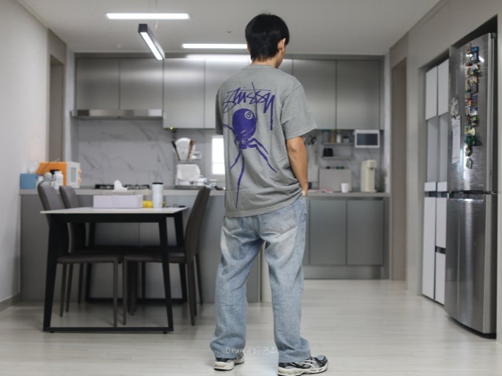 Stussy Arachnid T-Shirt Pigment Dyed Grey 착용 스타일