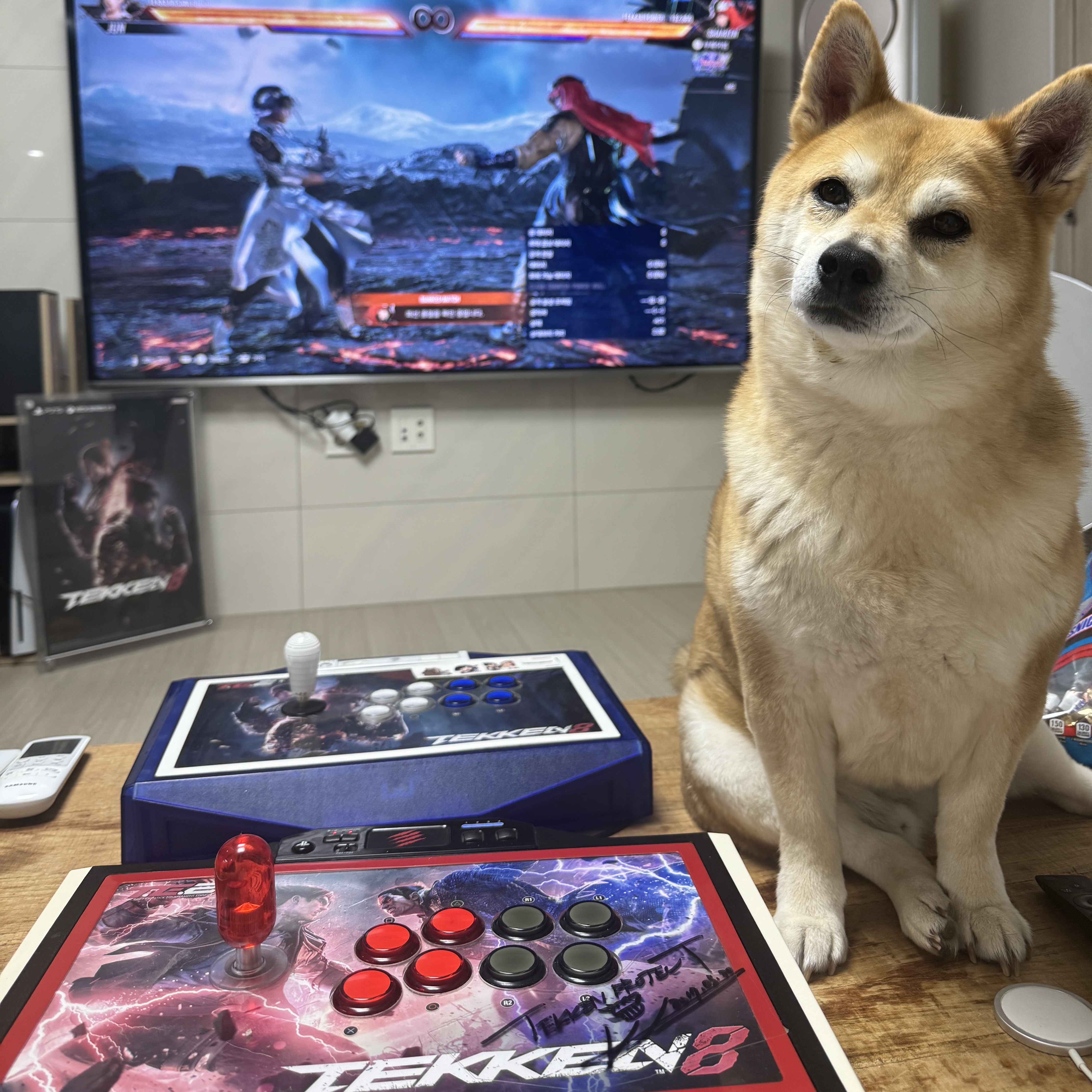 Playstation 5 Tekken 8 Standard Edition (Korean Ver.) 착용 스타일 - 3