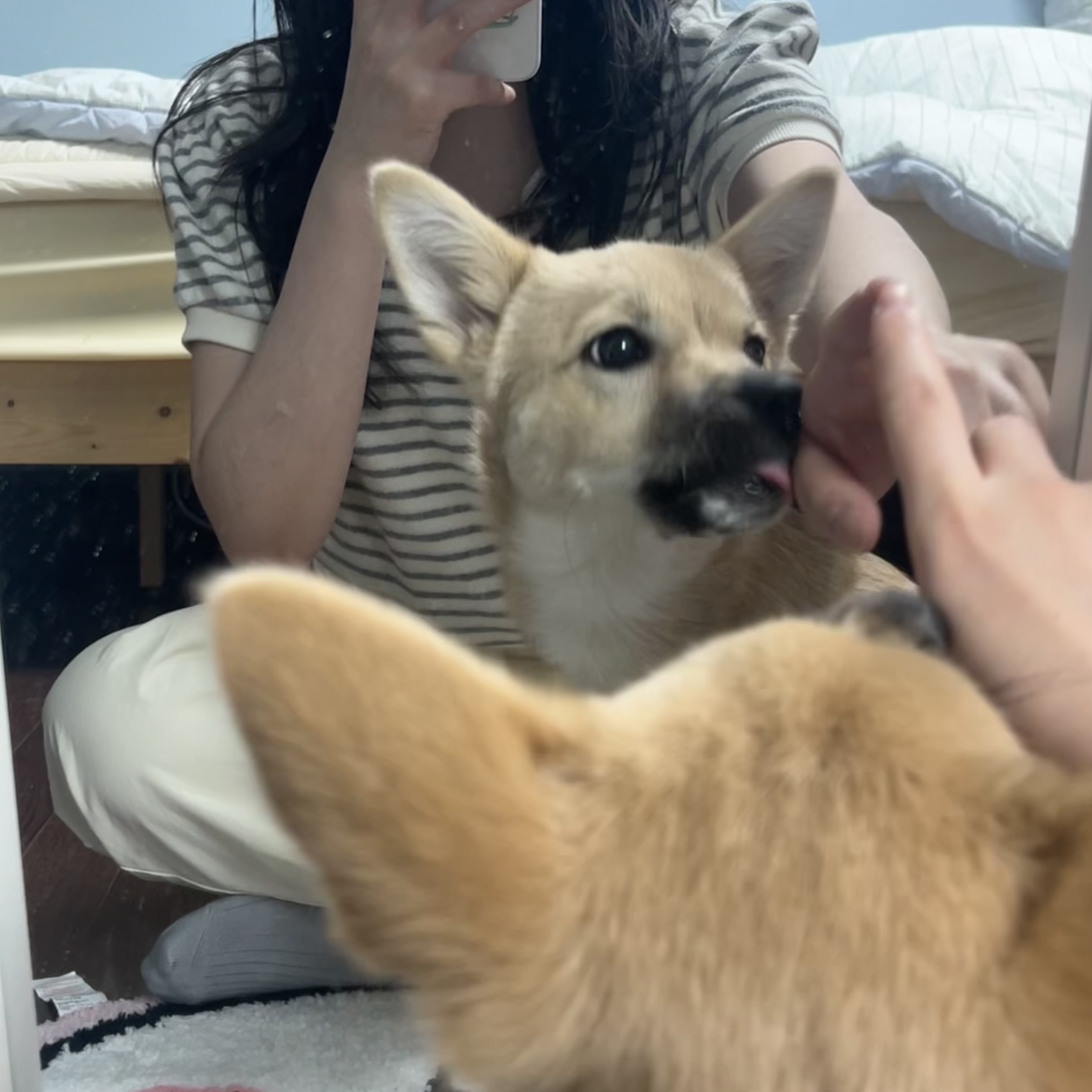 💙🤍🌊님의 스타일 - 3