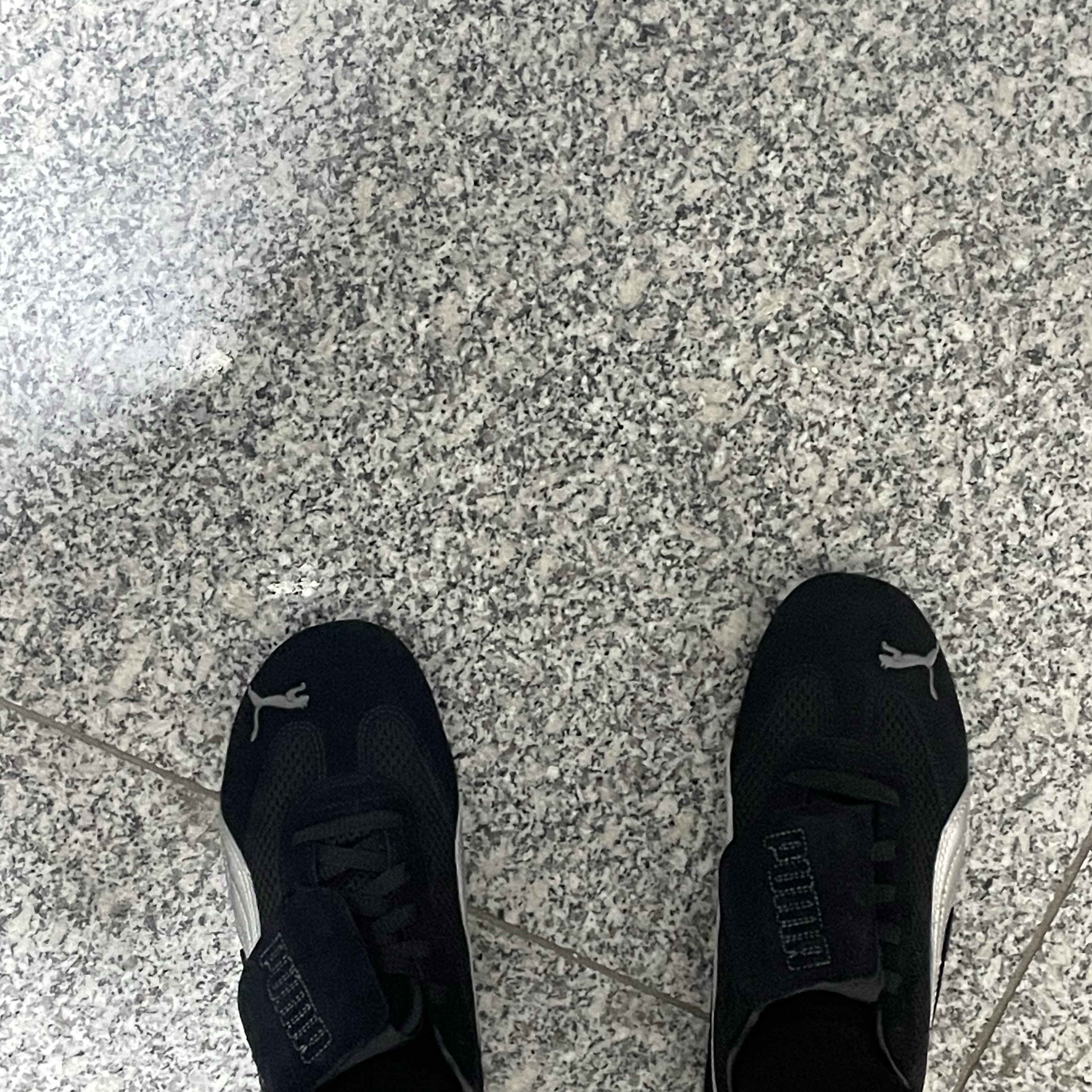 Puma x Open Yy Speedcat Black Shadow Gray 착용 스타일