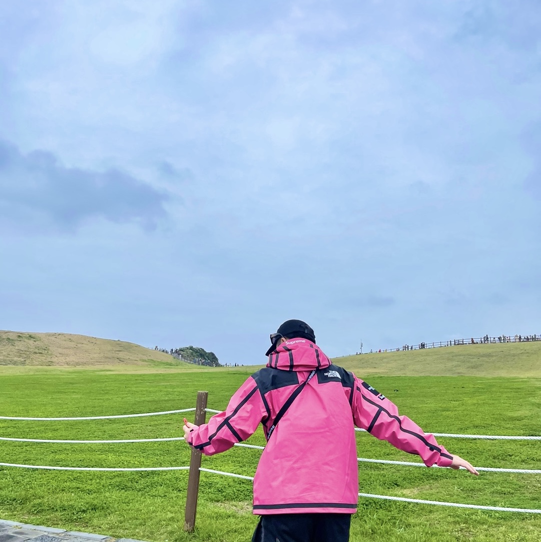 Supreme x The North Face Summit Series Outer Tape Seam Jacket Pink - 21SS 착용 스타일