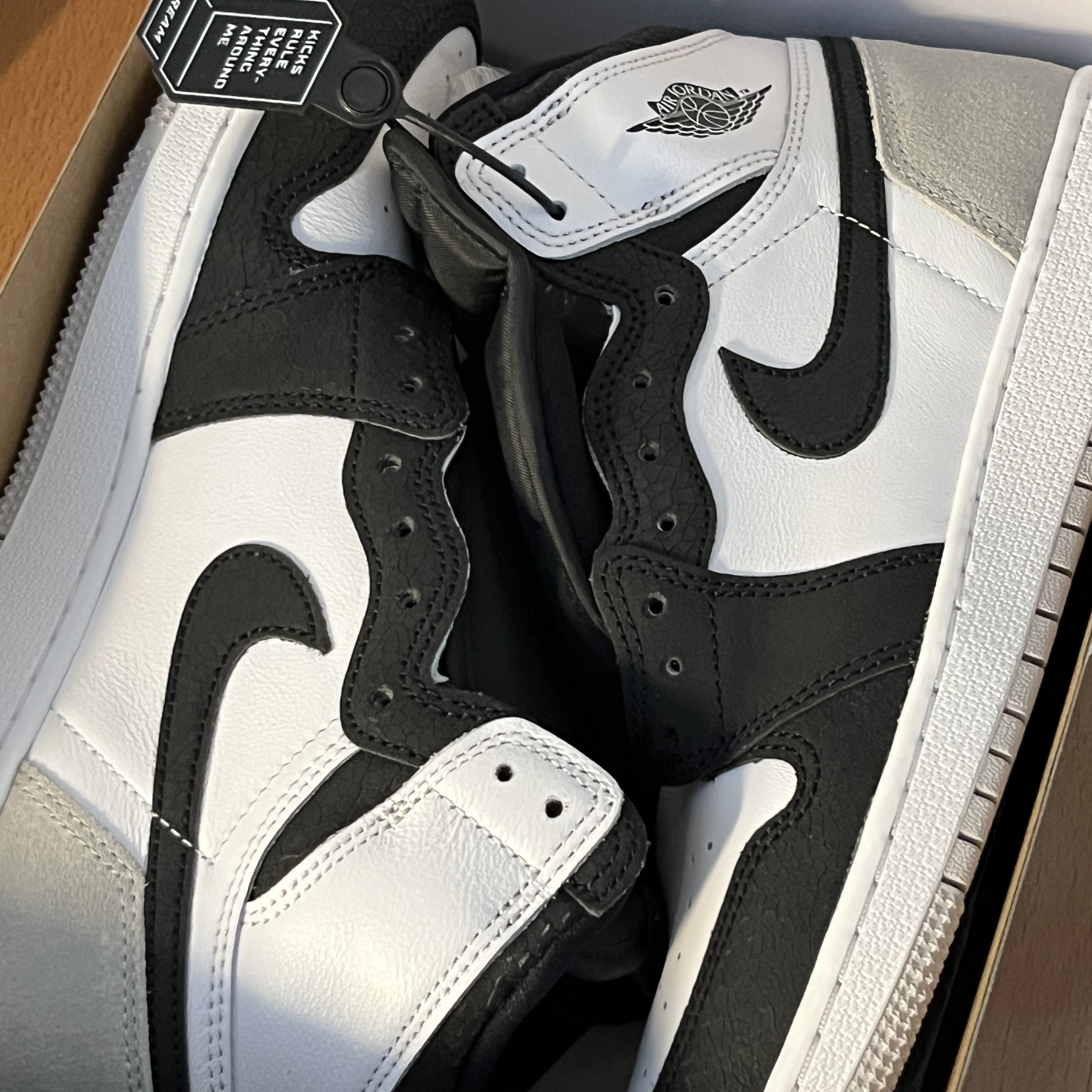 Jordan 1 Retro High OG Bleached Coral 착용 스타일