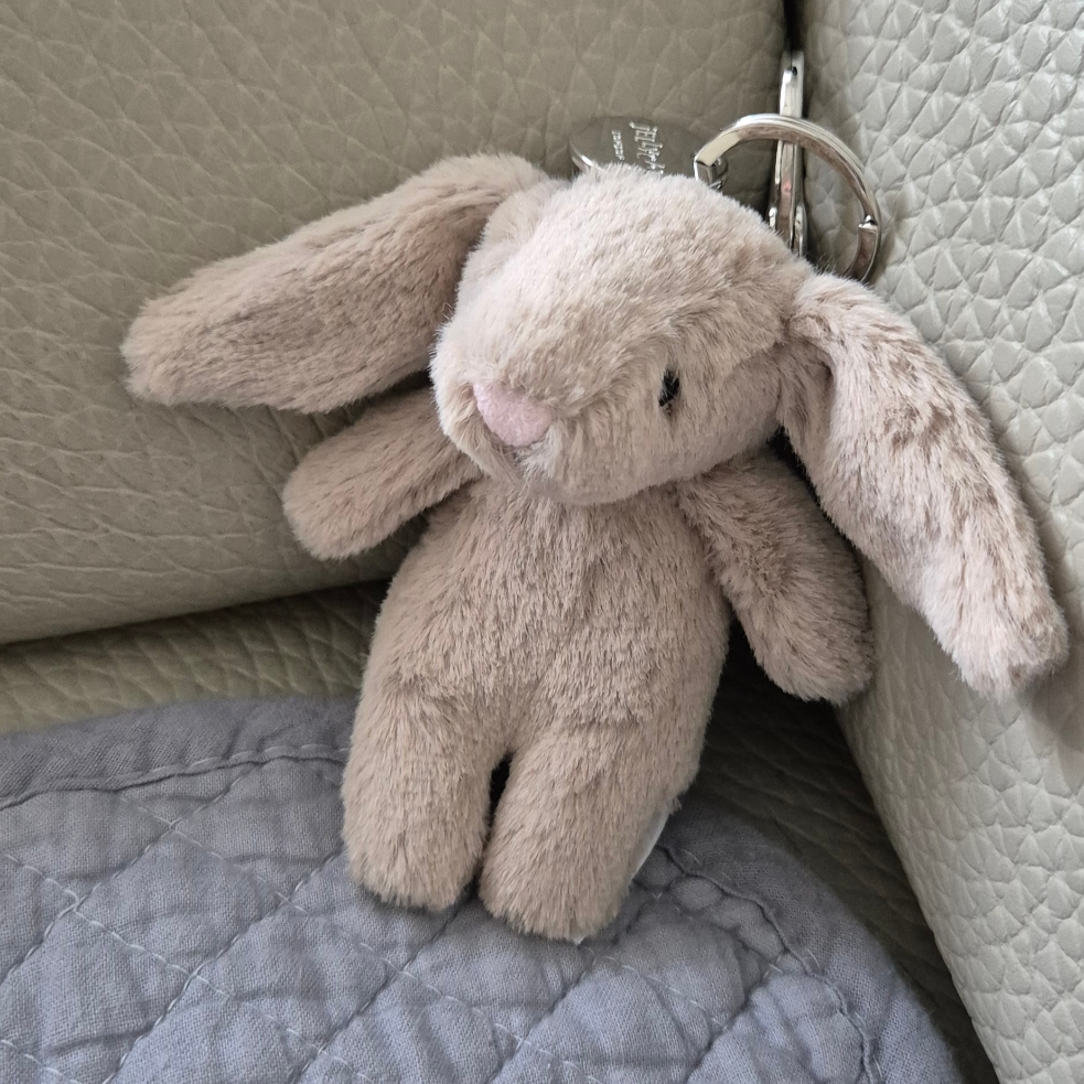 Nike P-6000 Metallic Silver, Jellycat Bashful Bunny Bag Charm Beige 착용 스타일 - 6