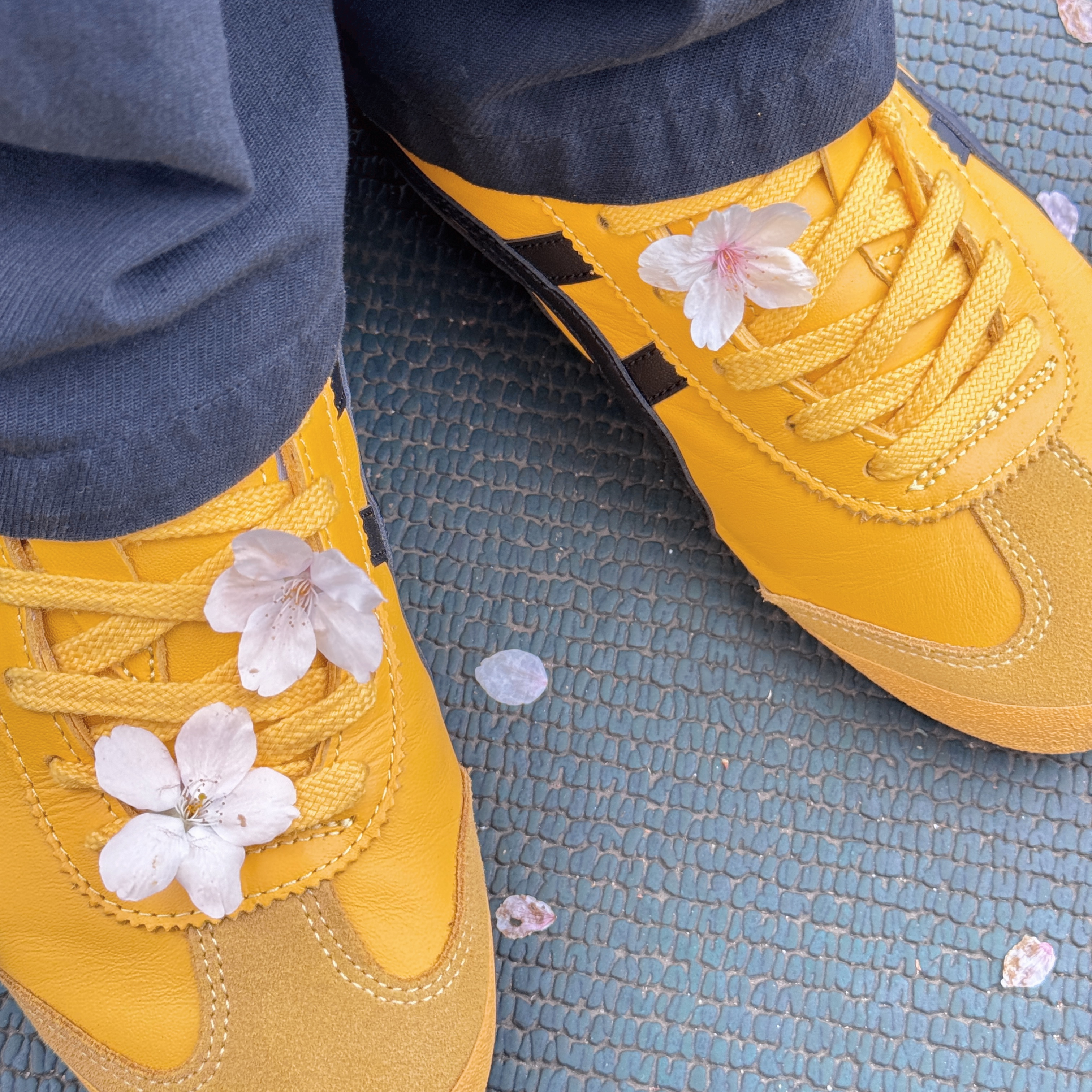 Onitsuka Tiger Mexico 66 Yellow Black 착용 스타일 - 2
