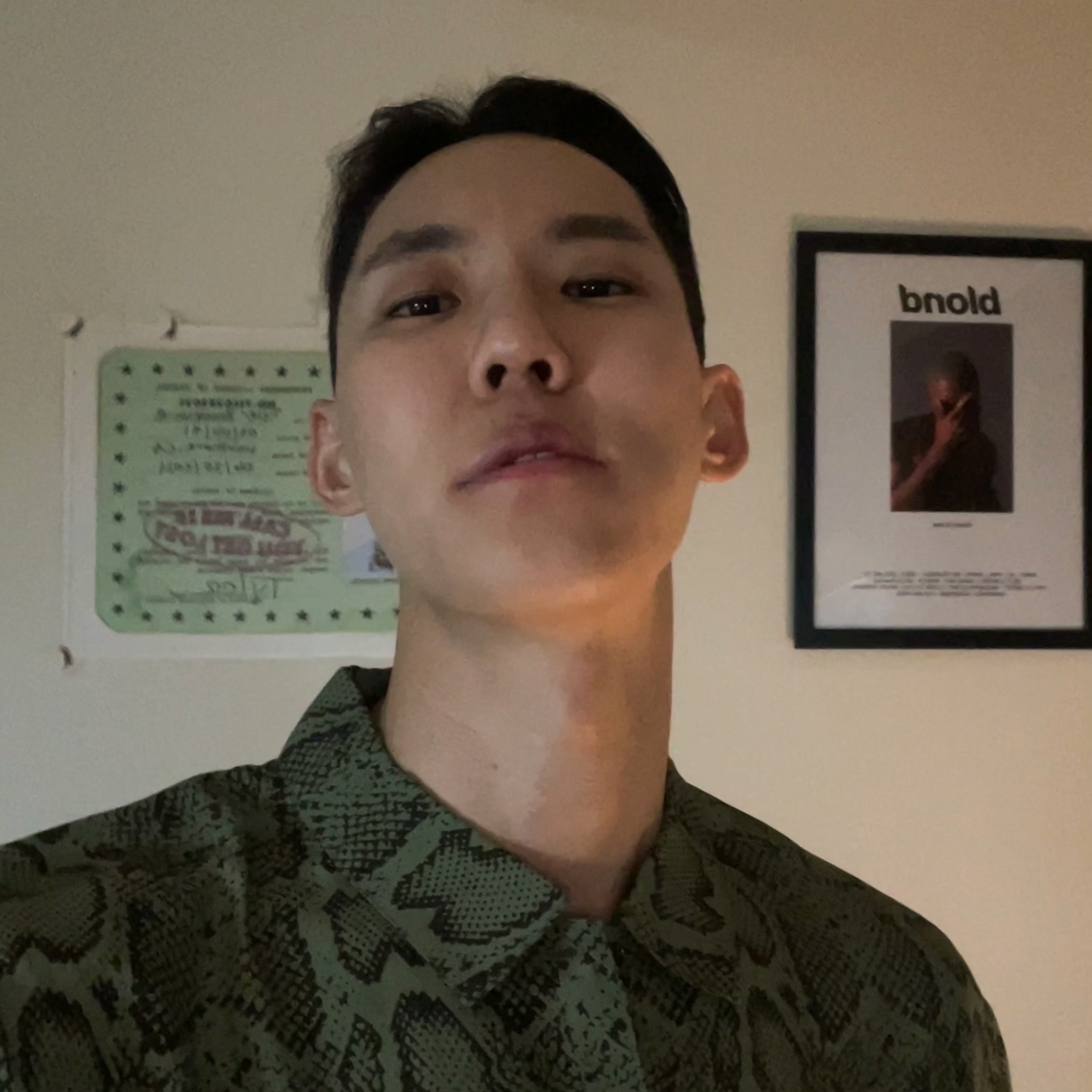Supreme Snake S/S Shirt Olive - 24SS 착용 스타일 - 1
