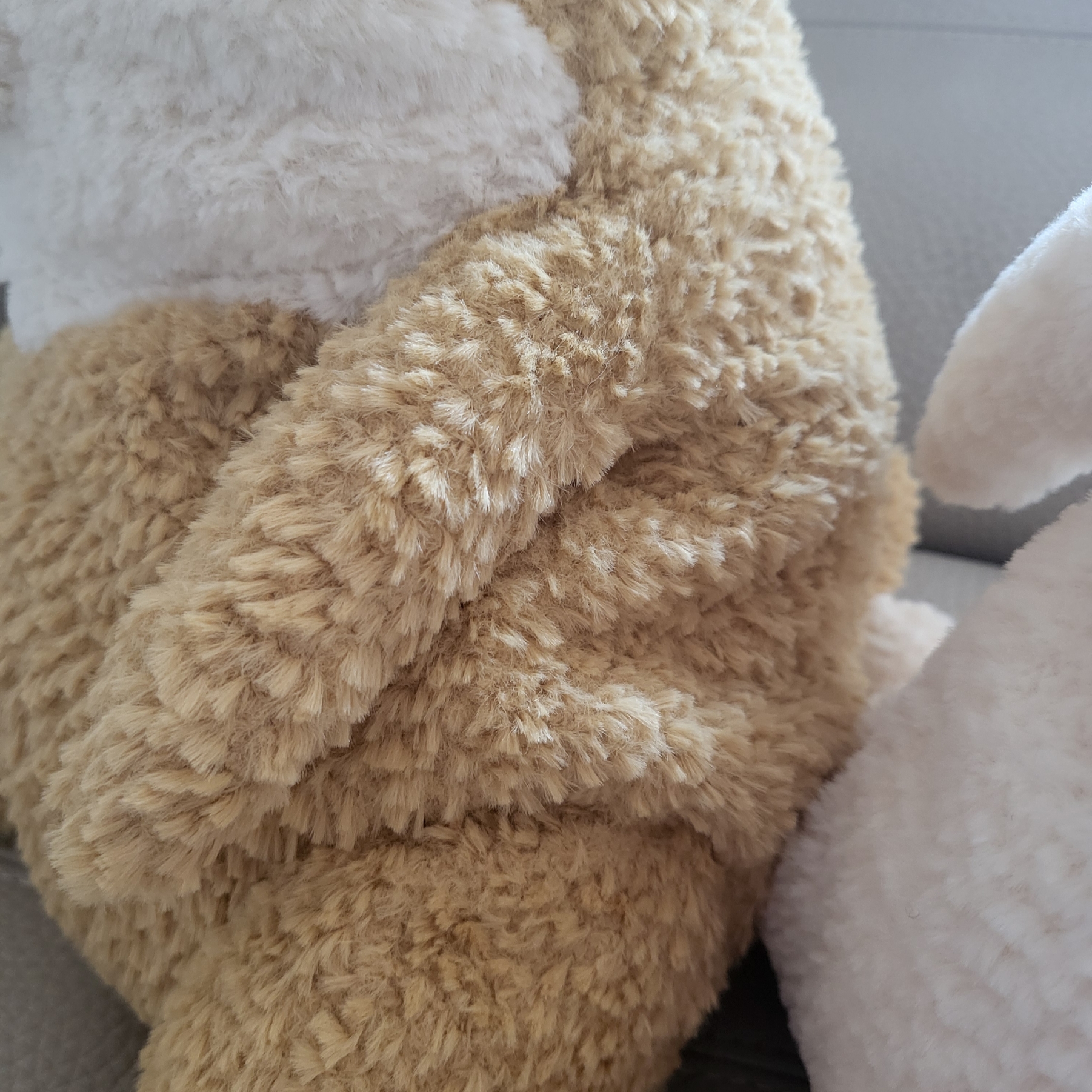Jellycat Amore Corgi Honey, Jellycat Amore Bunny 착용 스타일 - 2