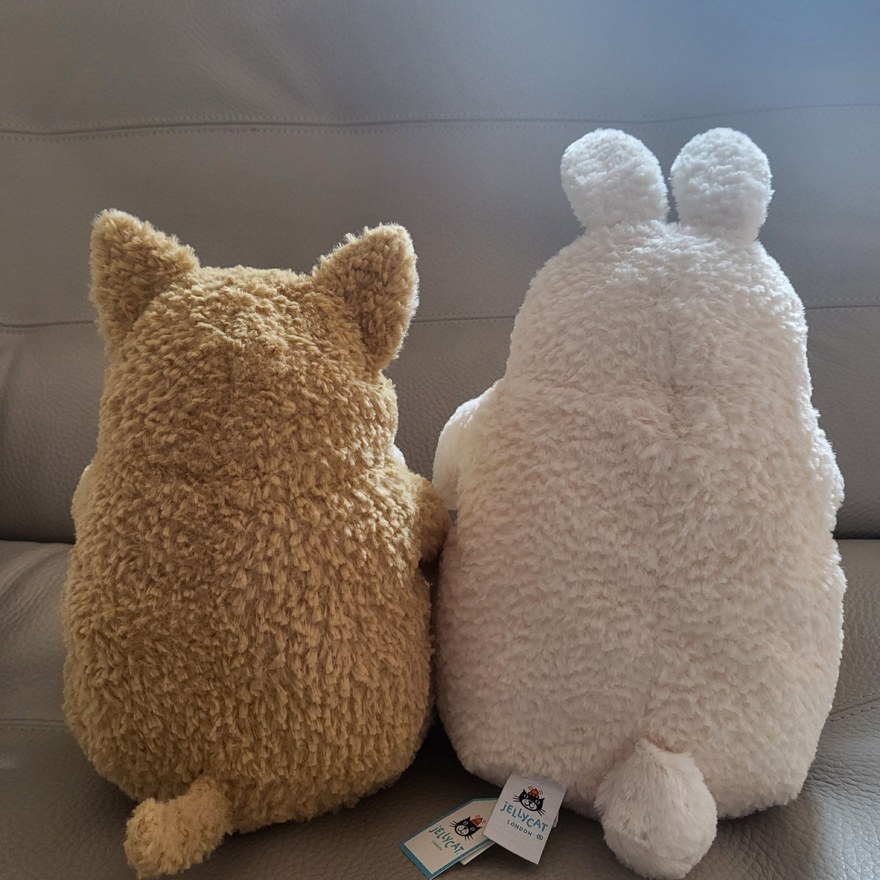Jellycat Amore Corgi Honey, Jellycat Amore Bunny 착용 스타일 - 1