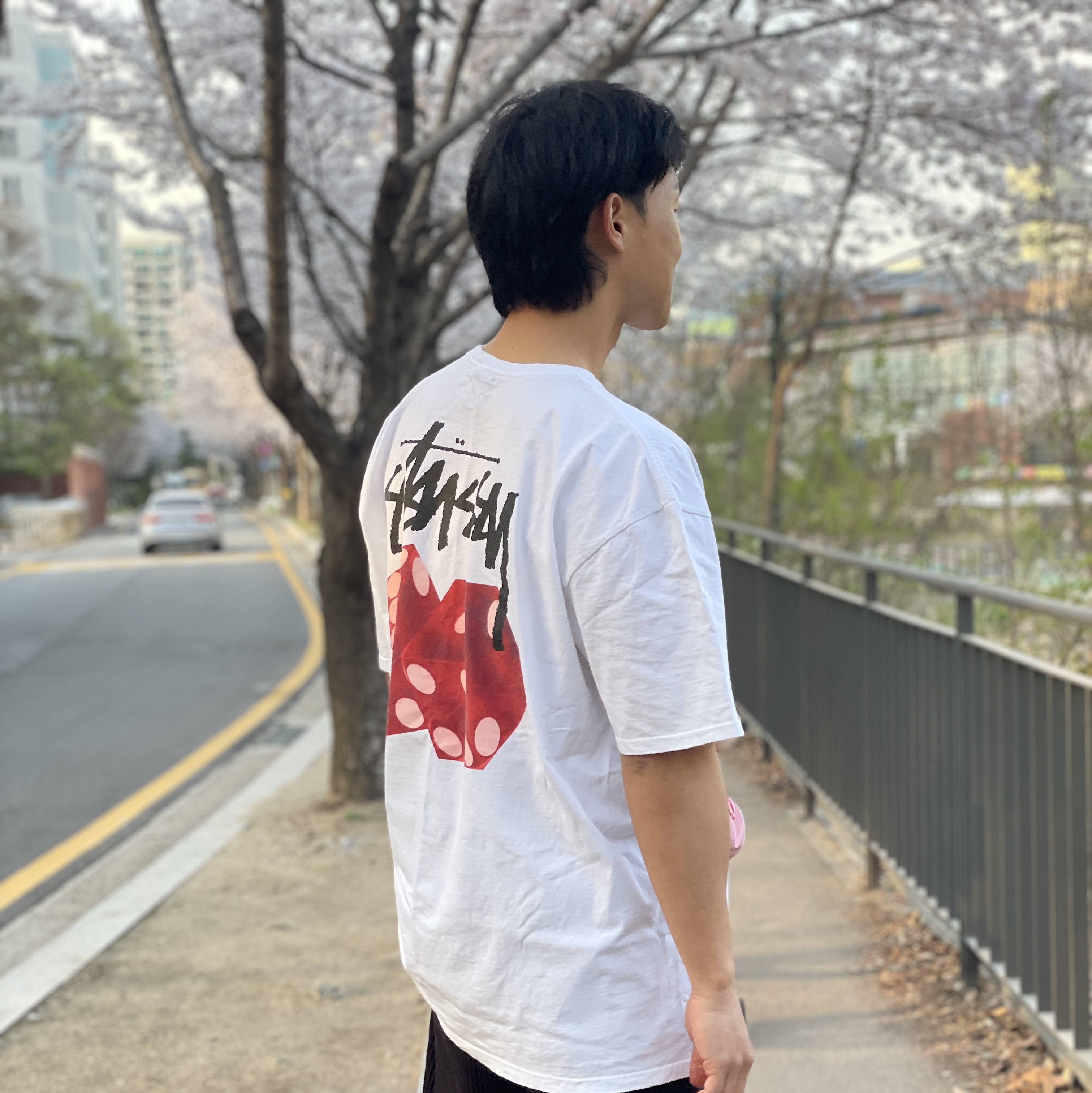 Stussy Diced Out T-Shirt White 착용 스타일