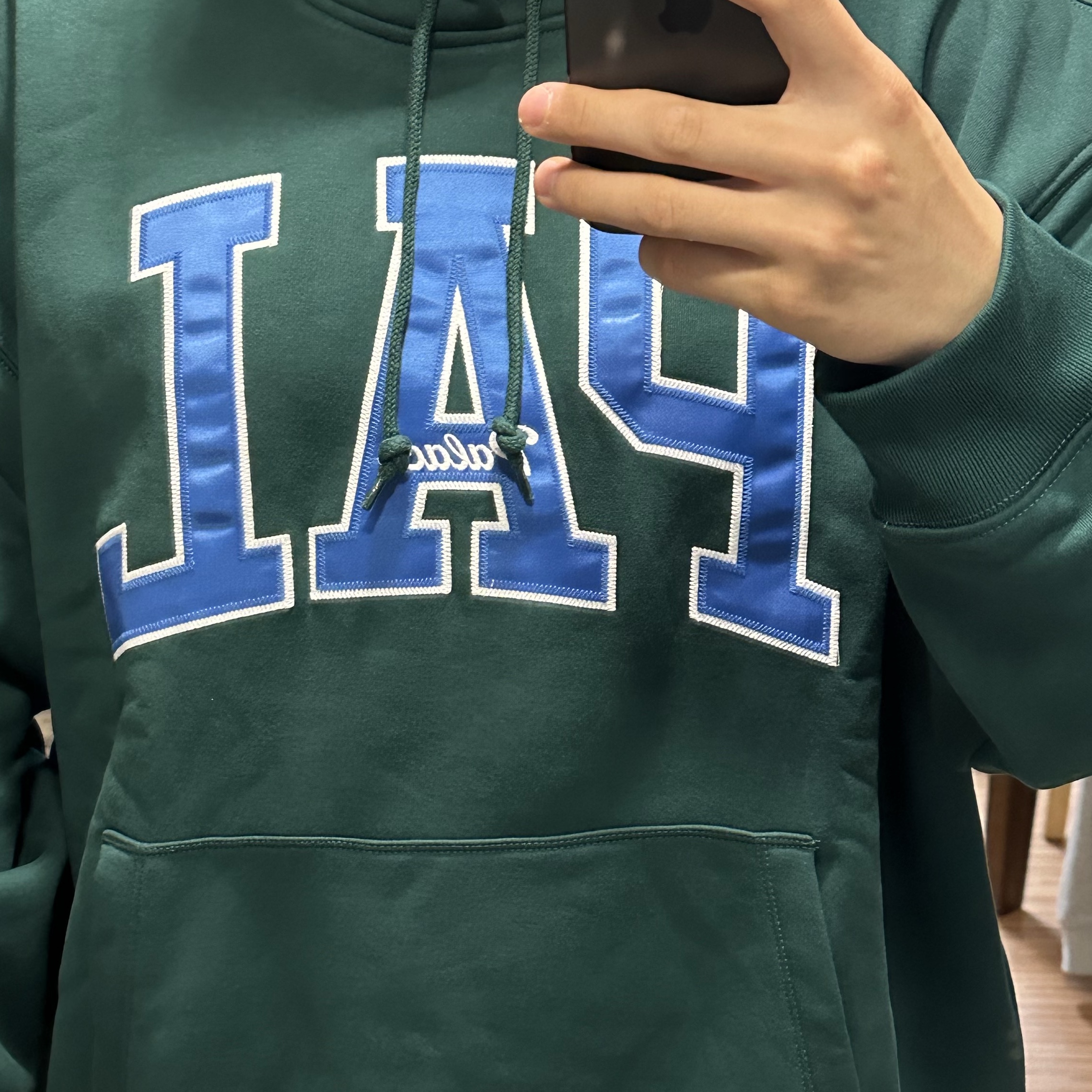 Palace x Gap Hood Rain Forest - 24SS 착용 스타일