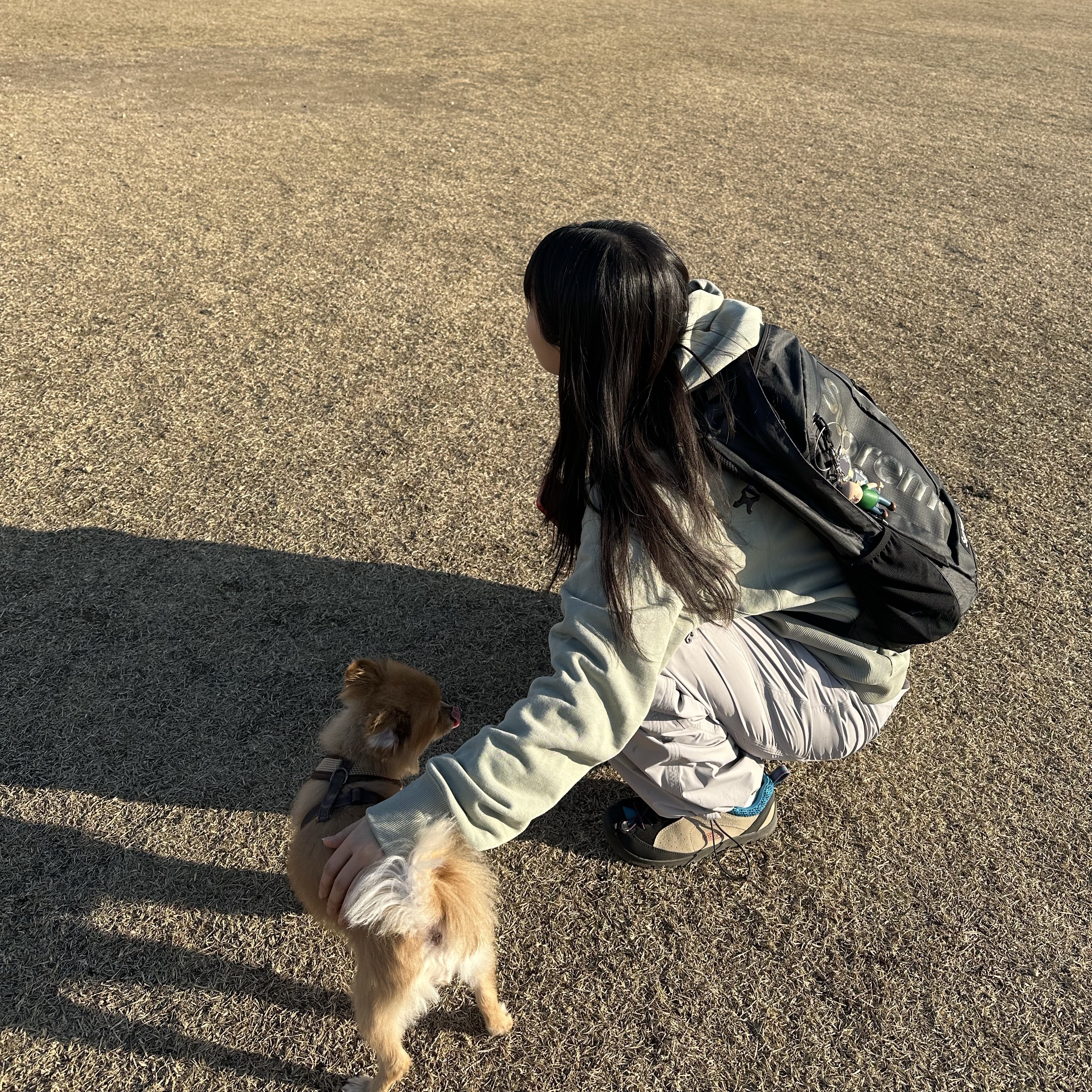 Sansan Gear Logo Hoodie Light Green  - 23FW, Sansan Gear 2.5L Windblock Pants Grey - 23FW 착용 스타일 - 2