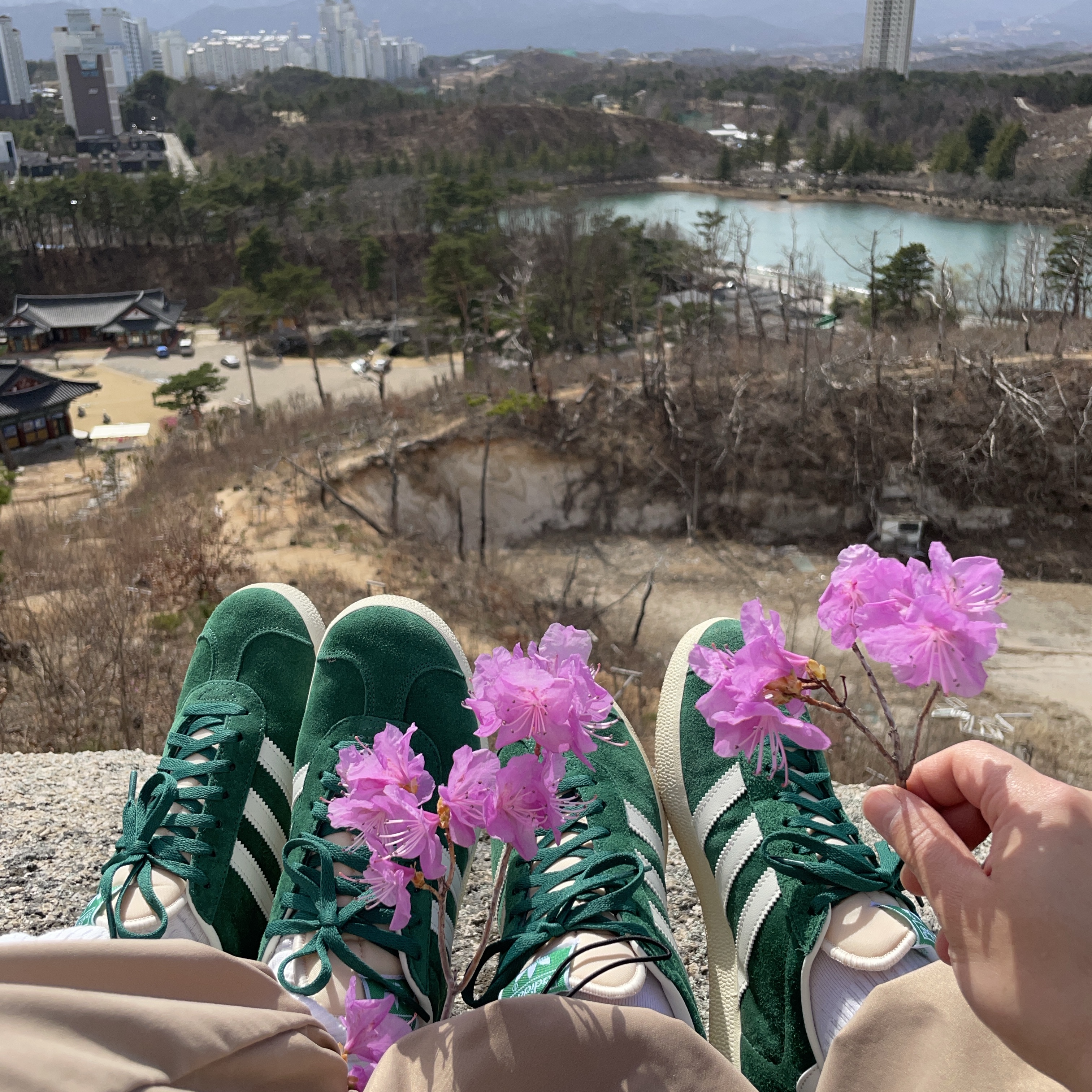 Adidas Gazelle Dark Green Cream White 착용 스타일