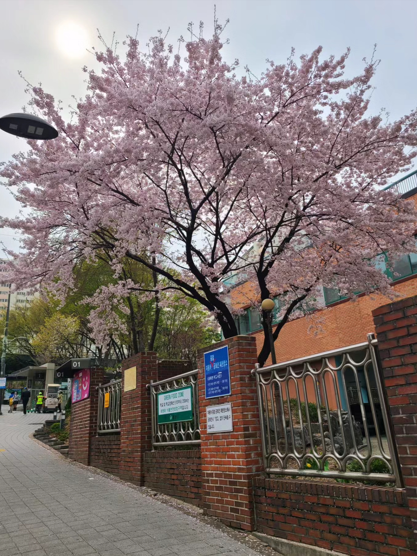 Hall Of Fame님의 스타일 - 4
