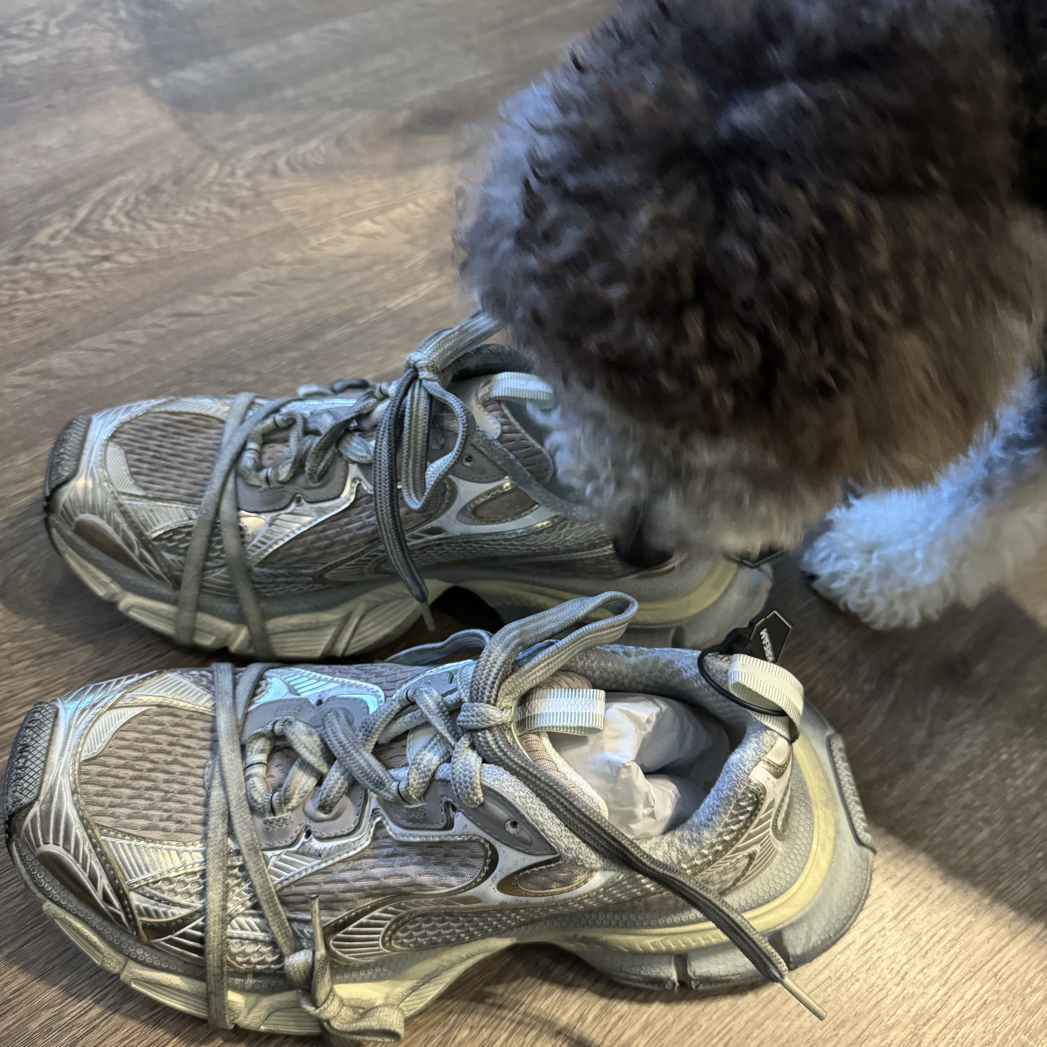 Balenciaga 3XL Sneakers Light Beige 착용 스타일 - 3