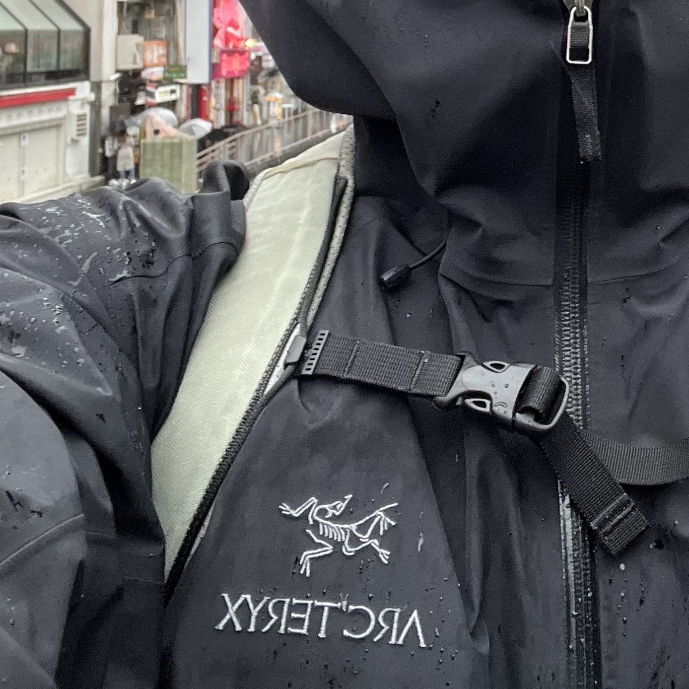 Arc'teryx Beta LT Jacket Black 착용 스타일