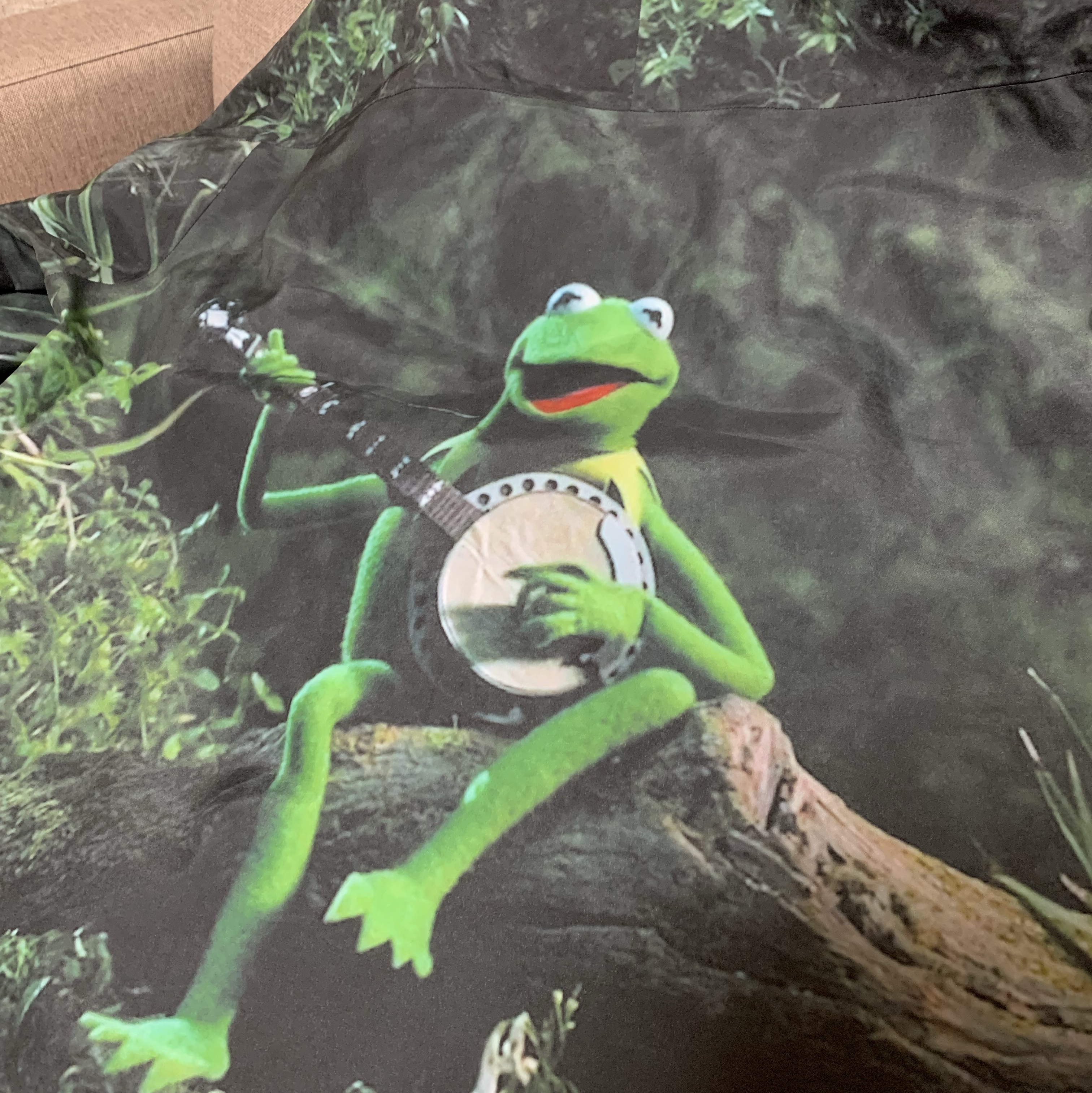 Supreme Gore-Tex Taped Seam Shell Jacket Kermit The Frog - 24SS 착용 스타일