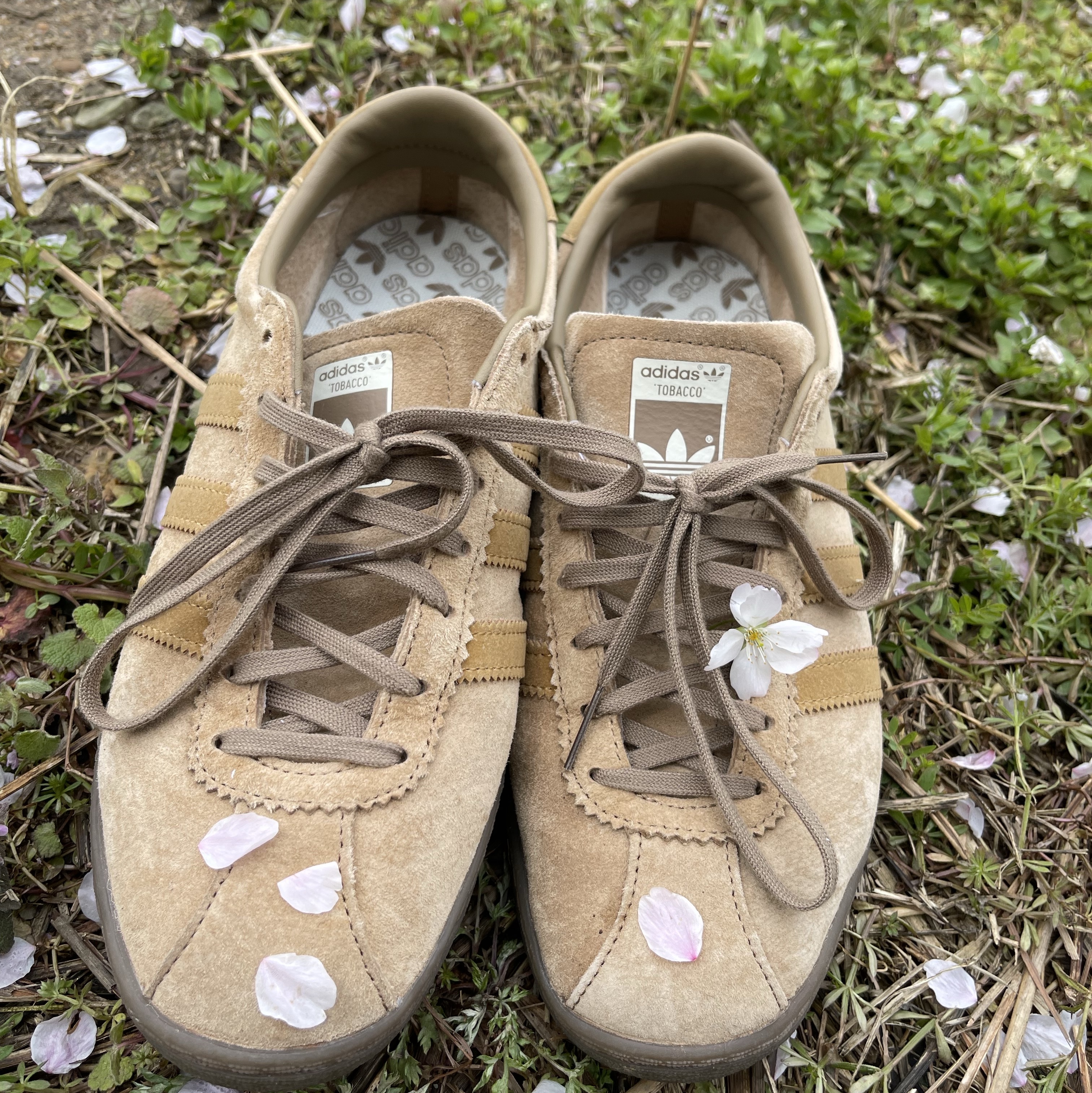 Adidas Tobacco Pantone Mesa 착용 스타일