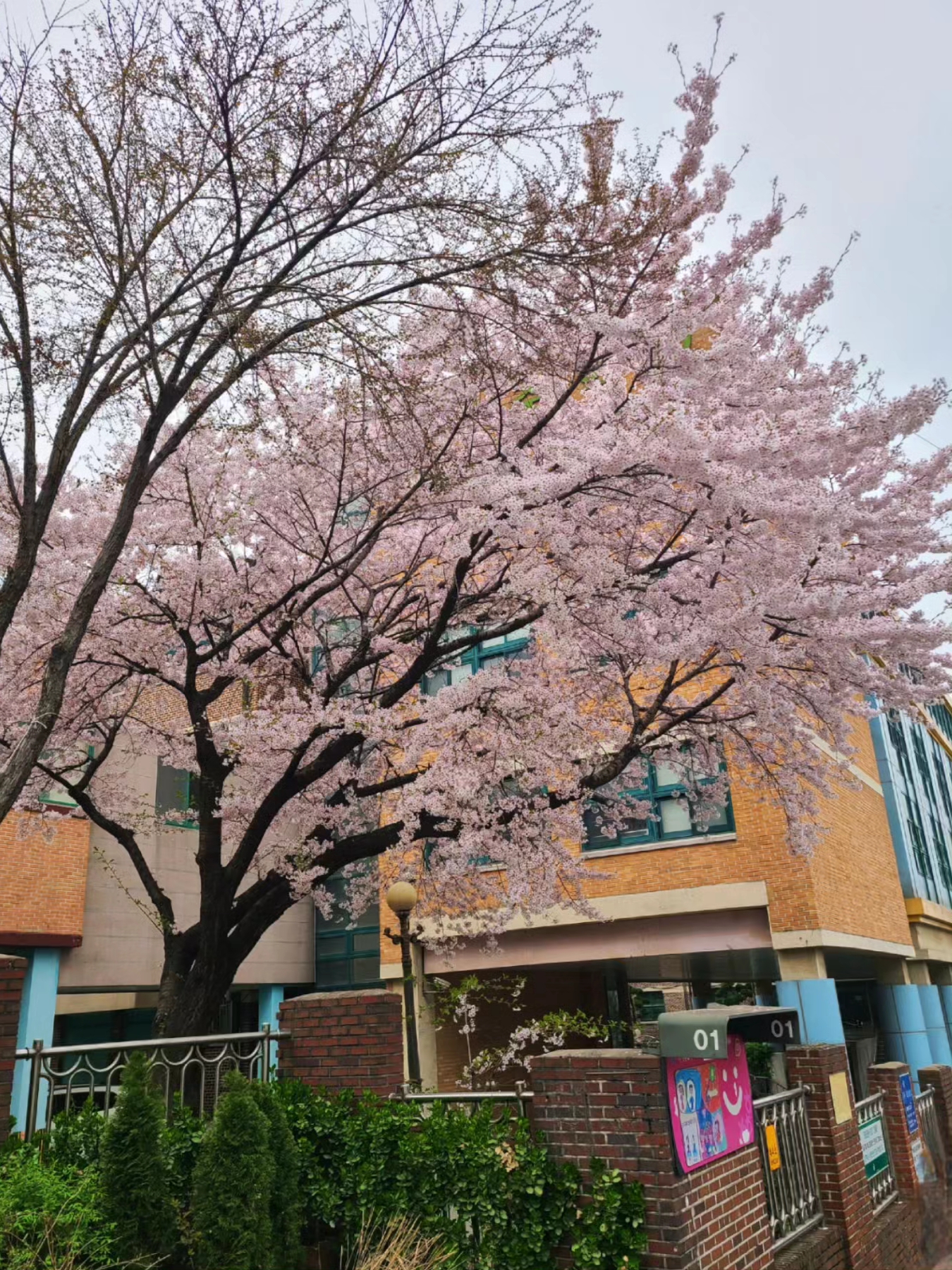 Hall Of Fame님의 스타일 - 5