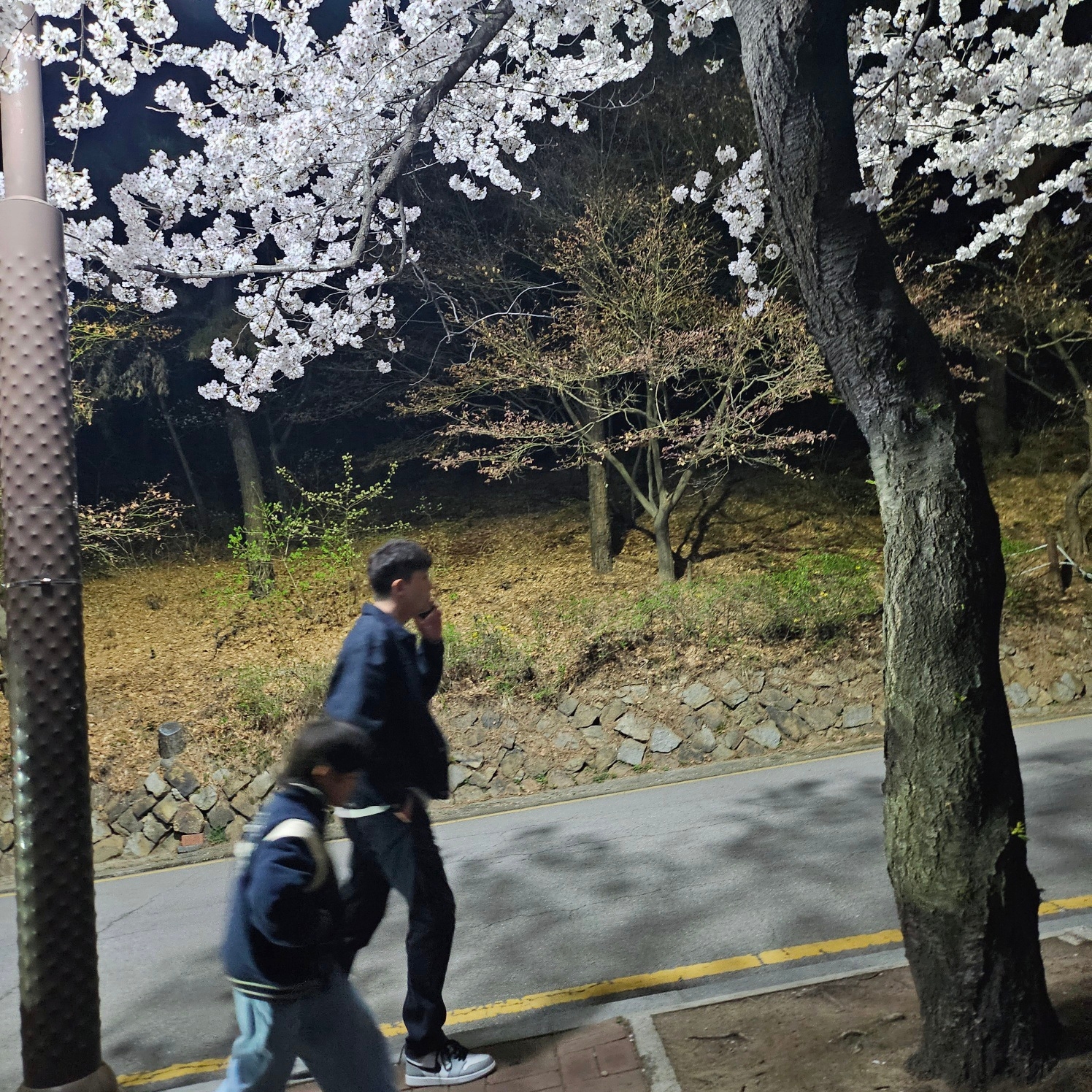 Supreme x Stone Island Denim Trucker Jacket Navy - 23FW, C.P. Company Stretch Sateen Lens Cargo Pants Navy - 23SS 착용 스타일 - 1