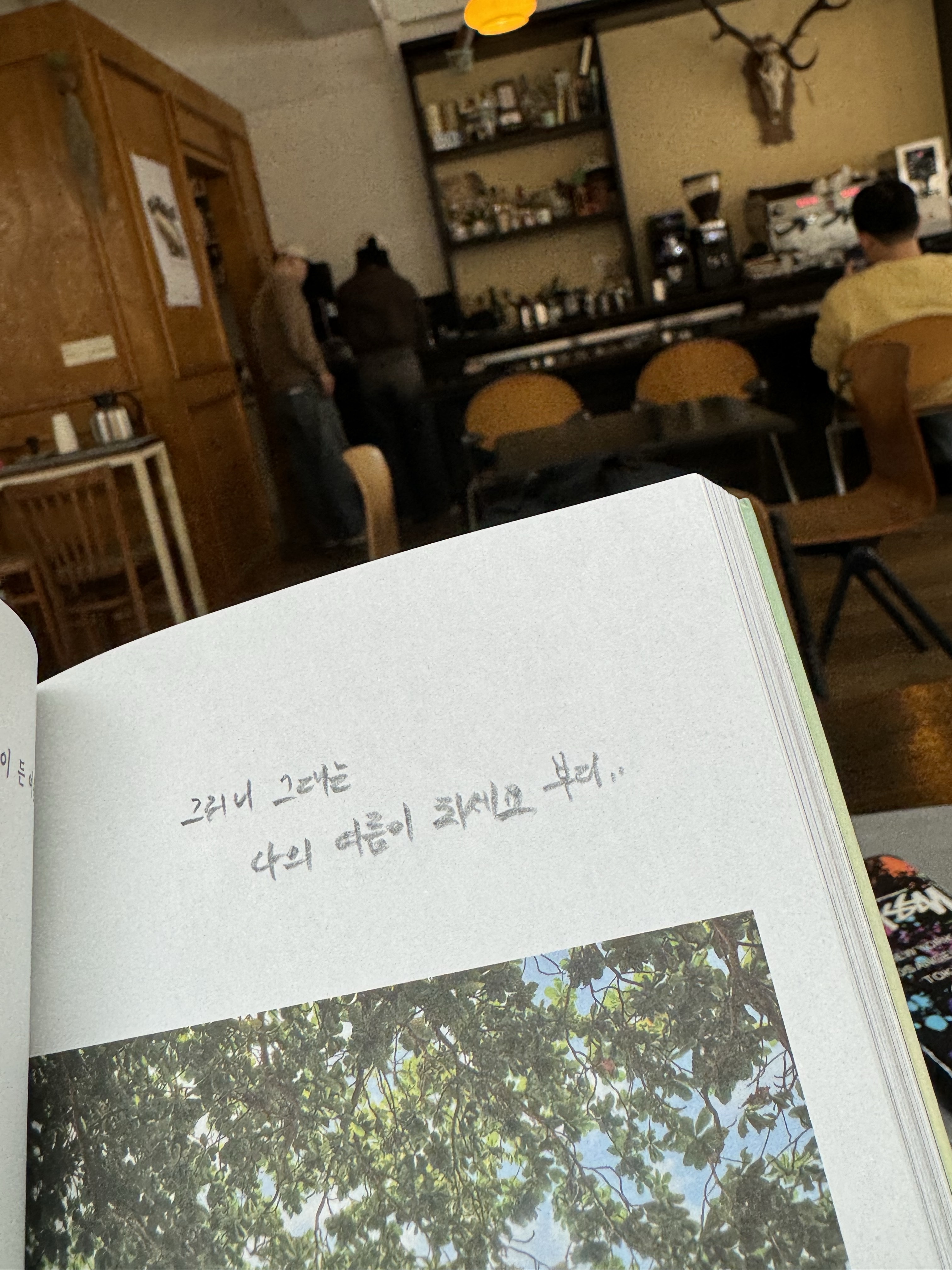 Hoodie님의 스타일 - 1